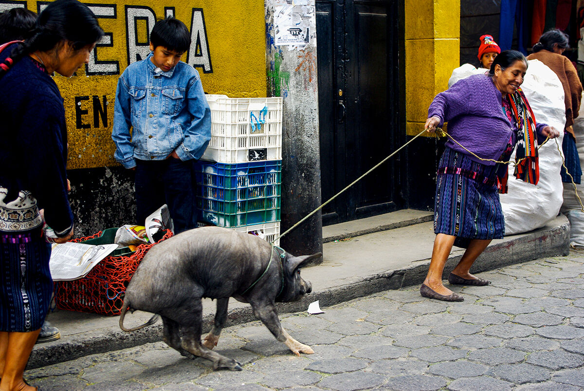 E no, non ci vengo per niente!