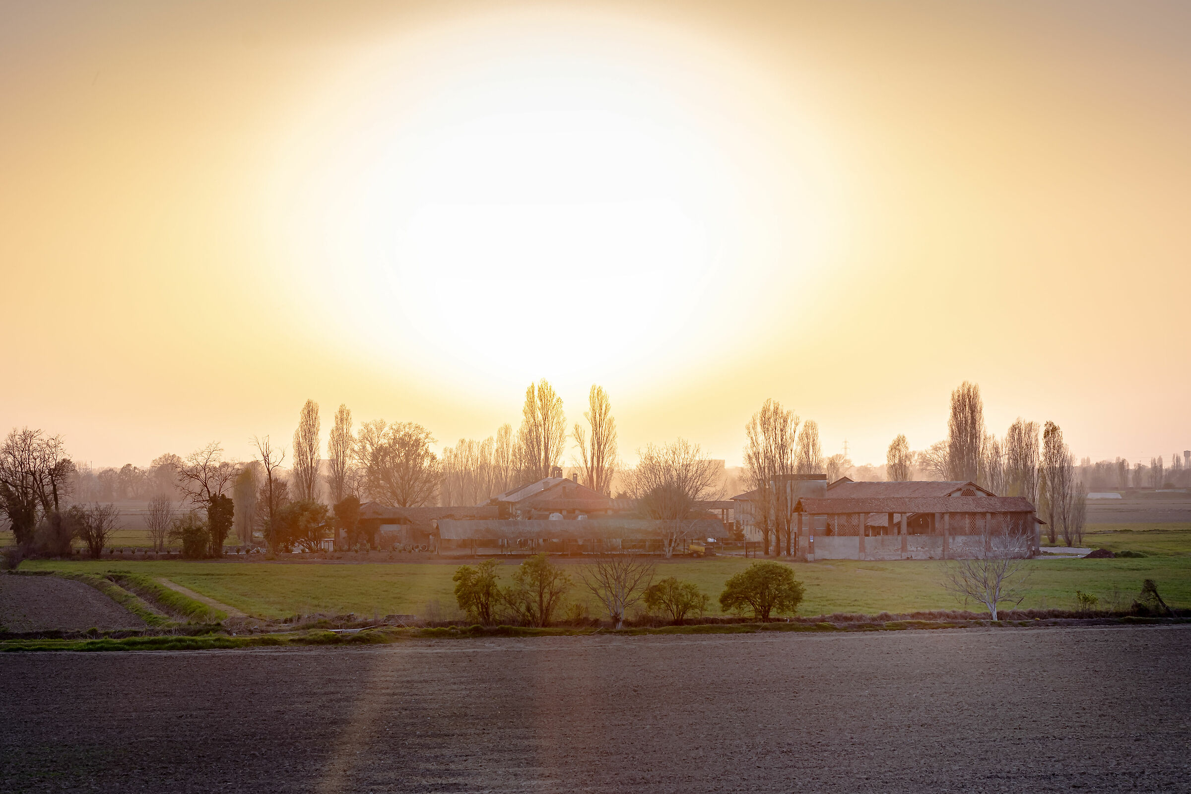 Sunny day in the countryside