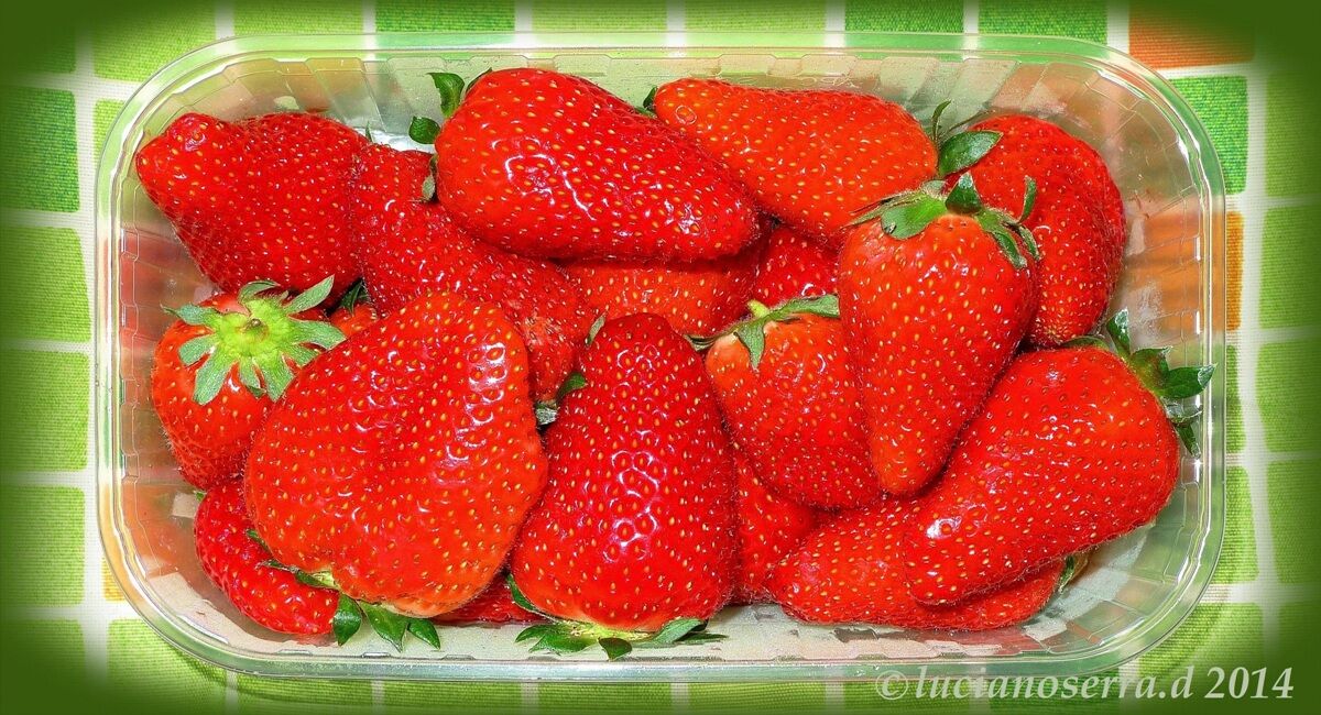 Fragole