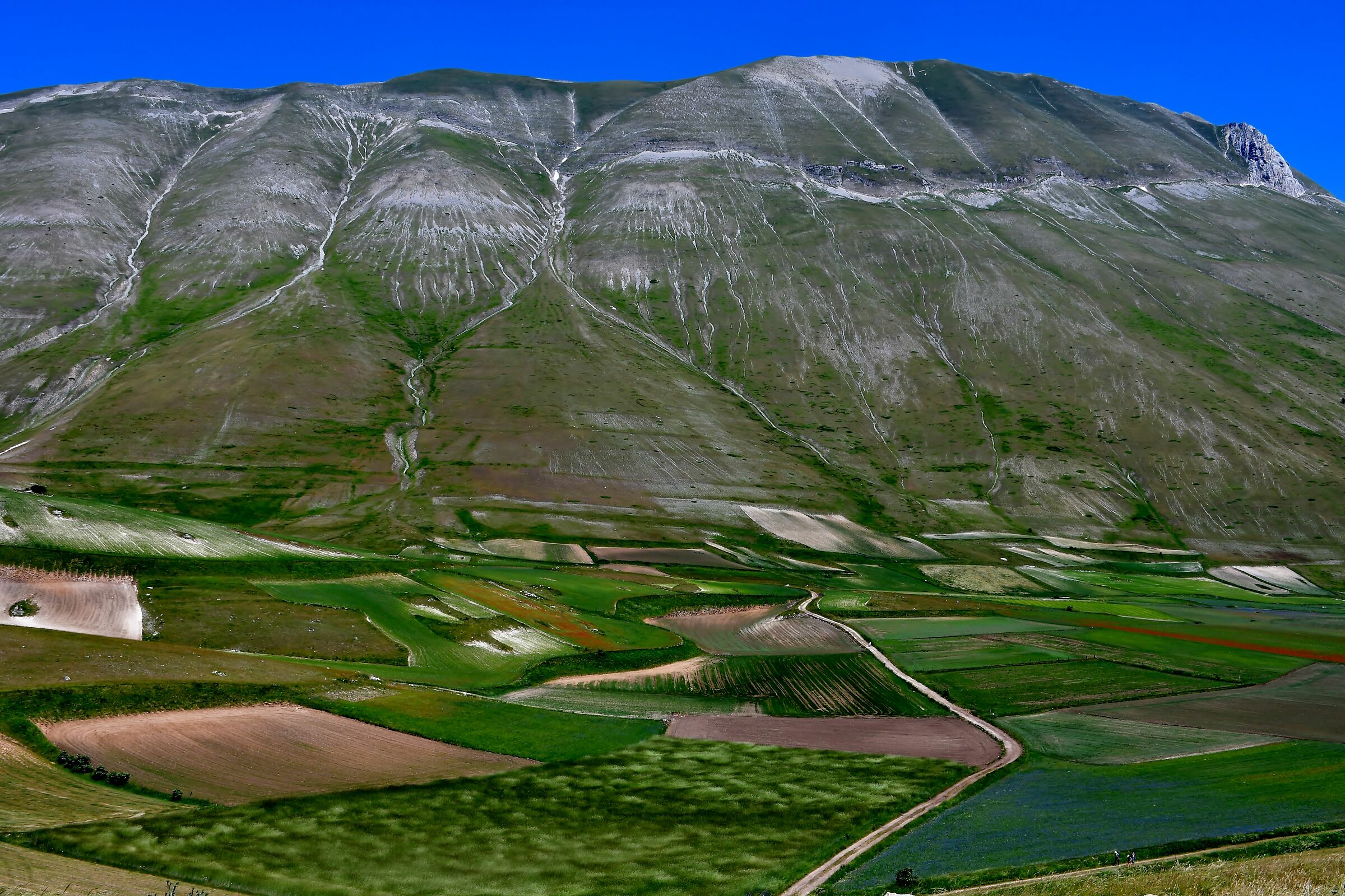 Castelluccio Di Norcia