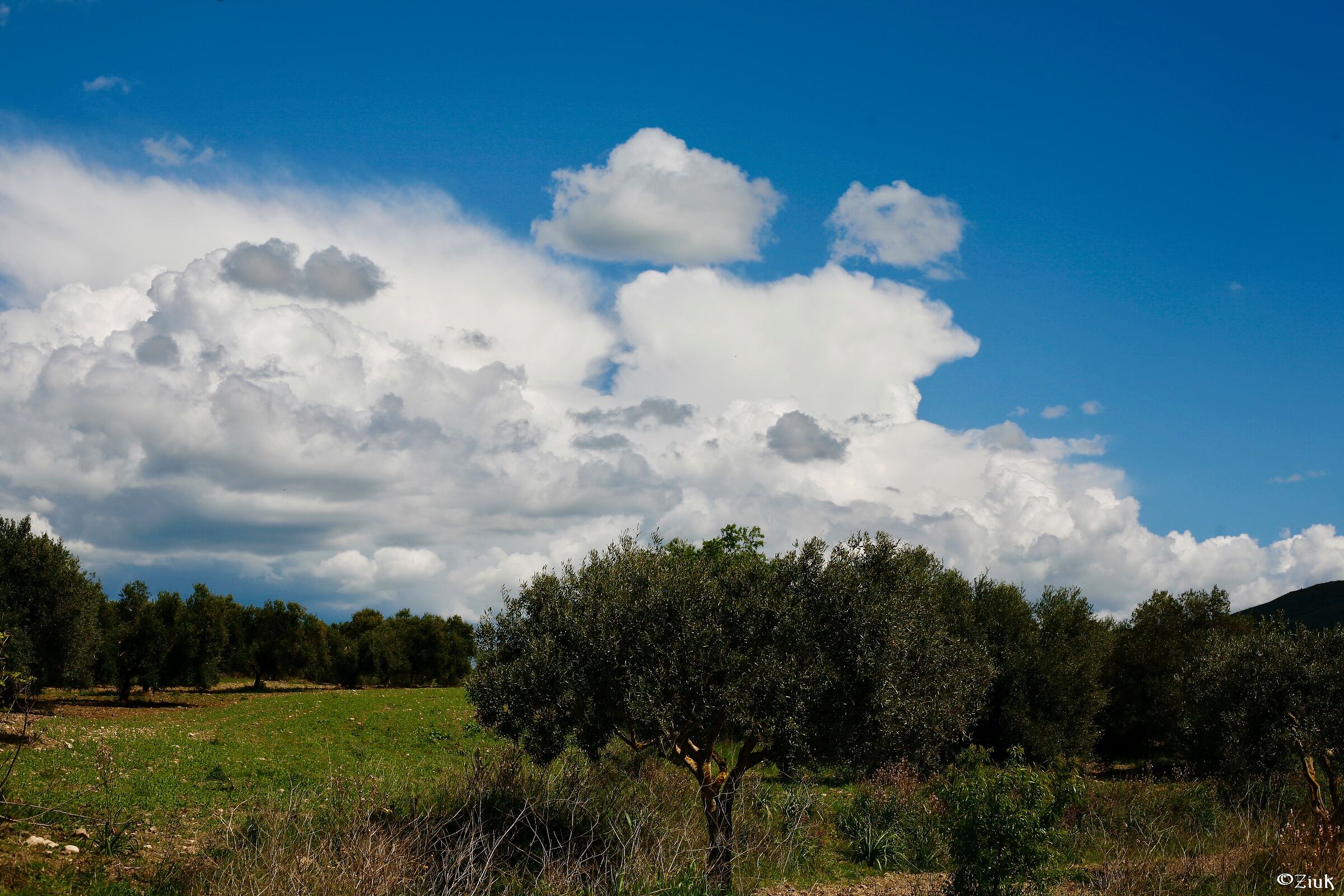 Domenica di primavera