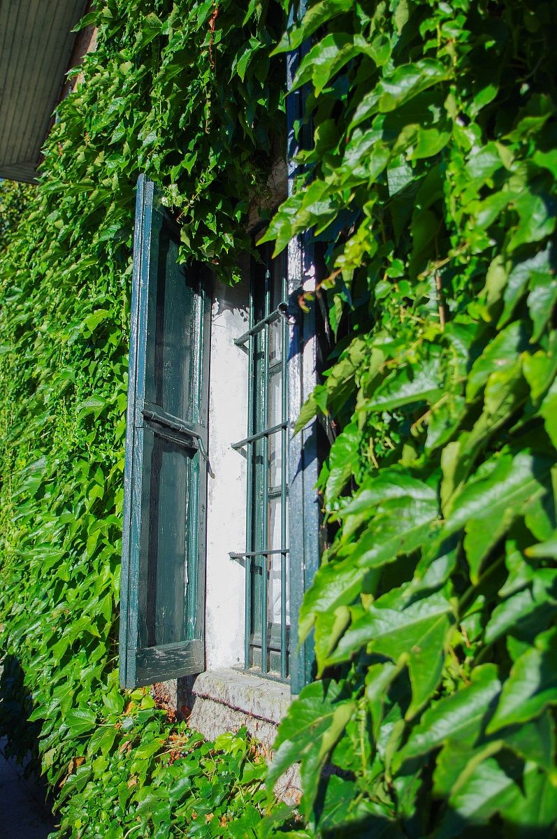 La finestra nel verde