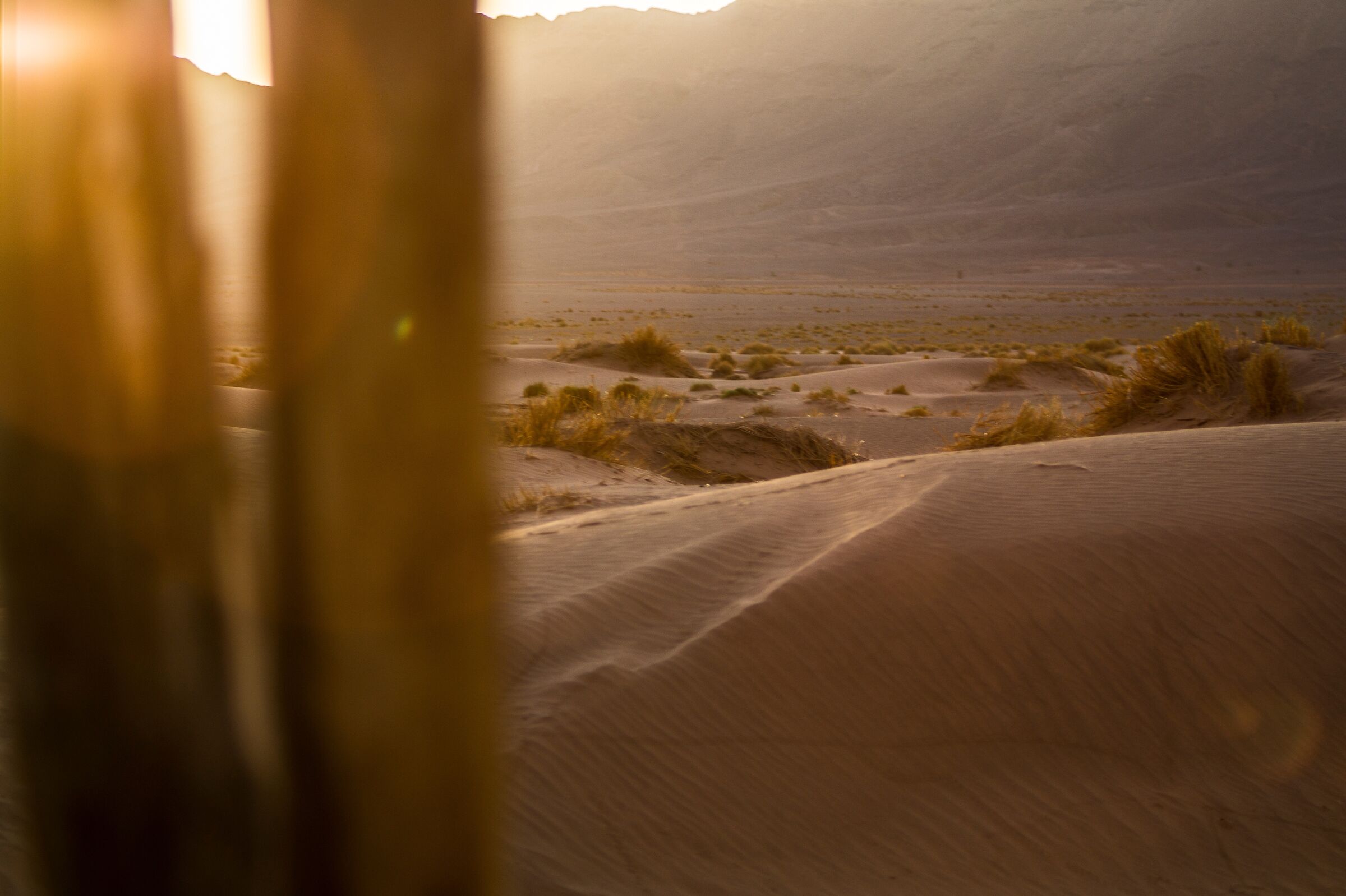 Sunrise in the desert