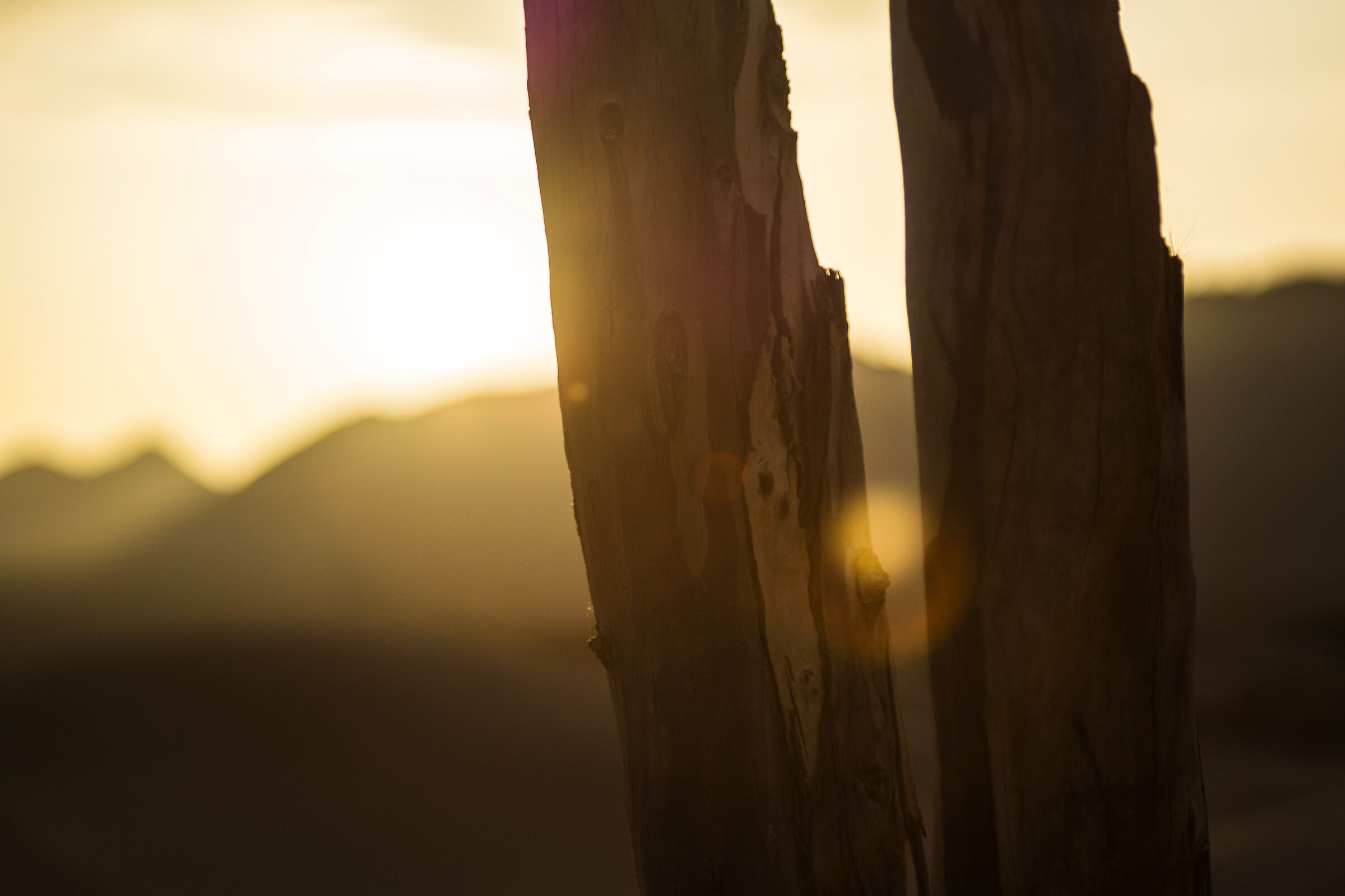 Sunrise in the desert