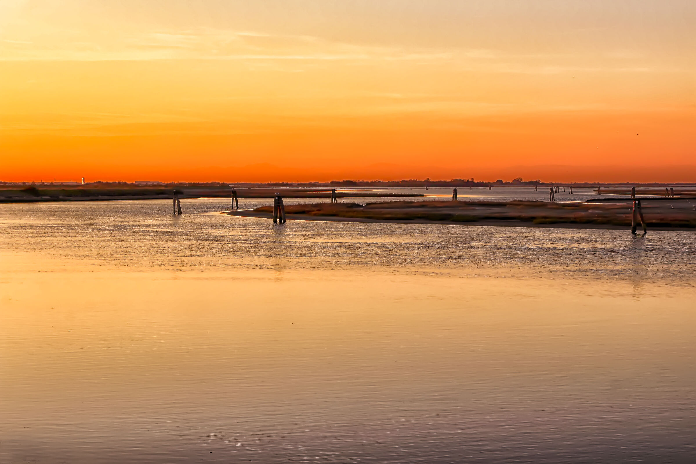 Metavigliosa opportunità