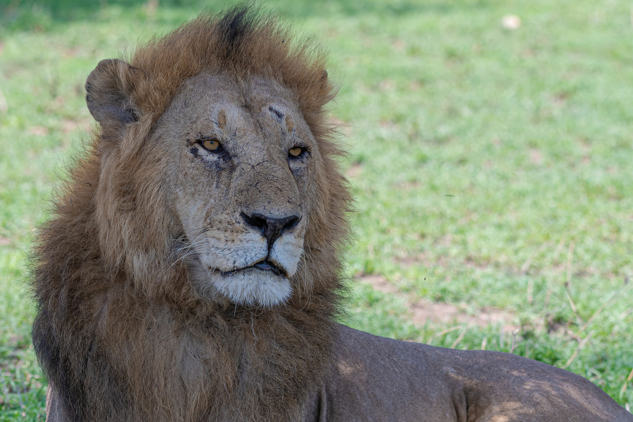 I segni di una vittoria