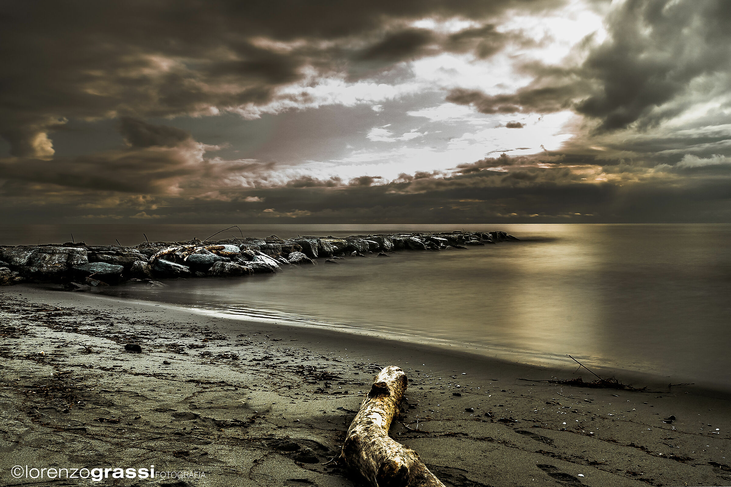 Untitled Photo