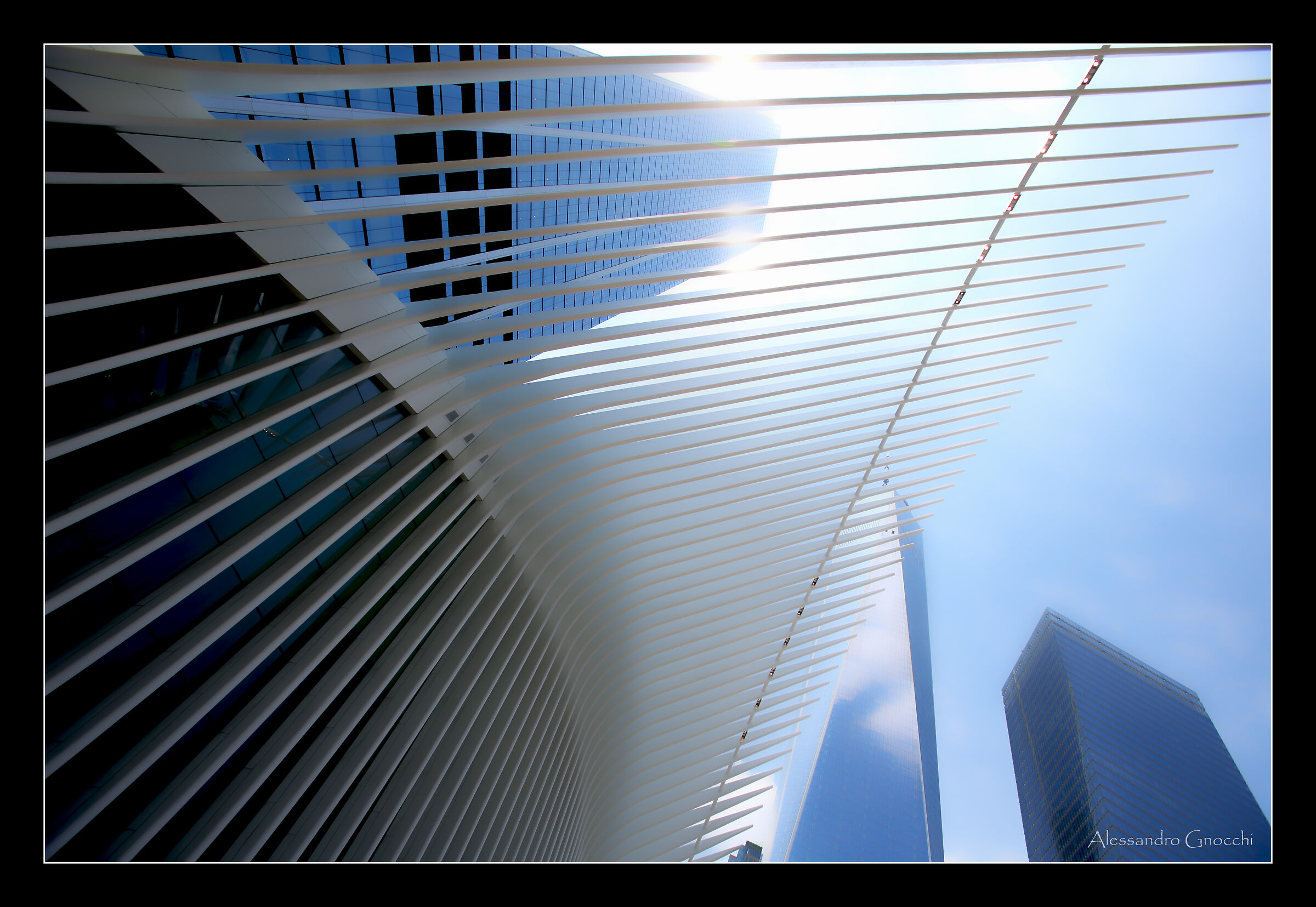 No day shall erase you from the memory of time