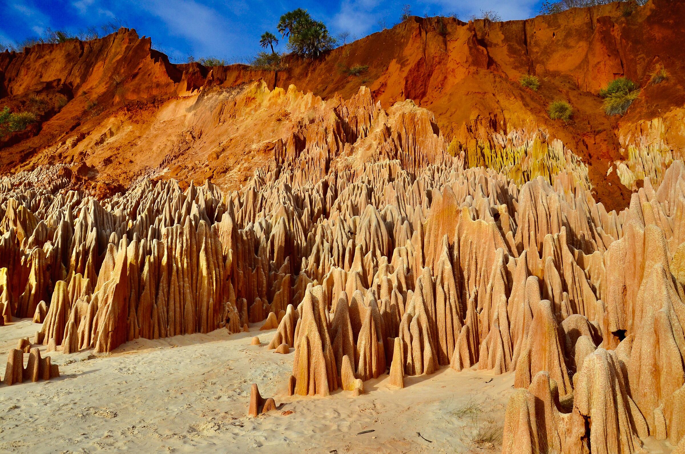 The colors and shapes of nature