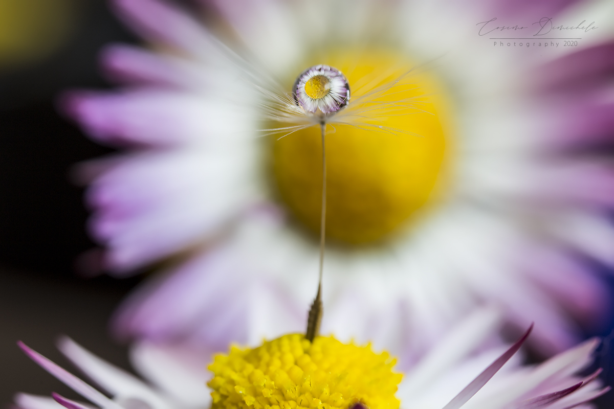 Riflessi di Primavera!!!