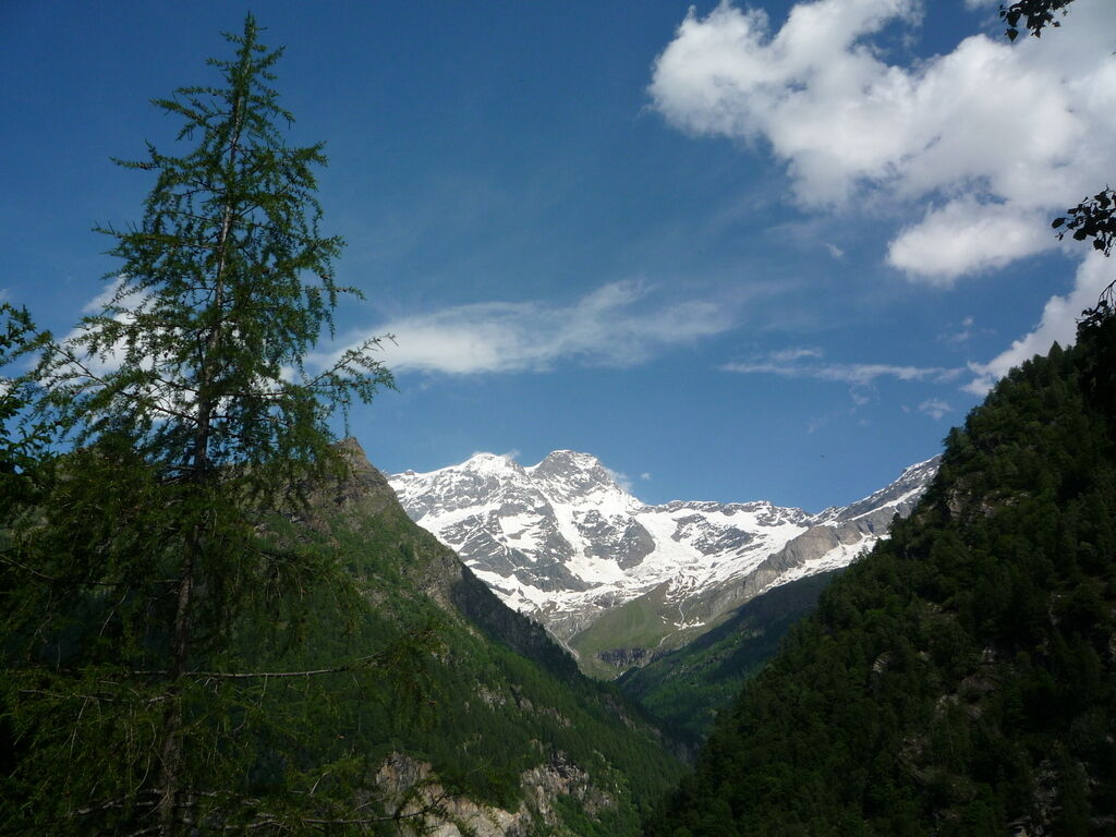 Monte Rosa