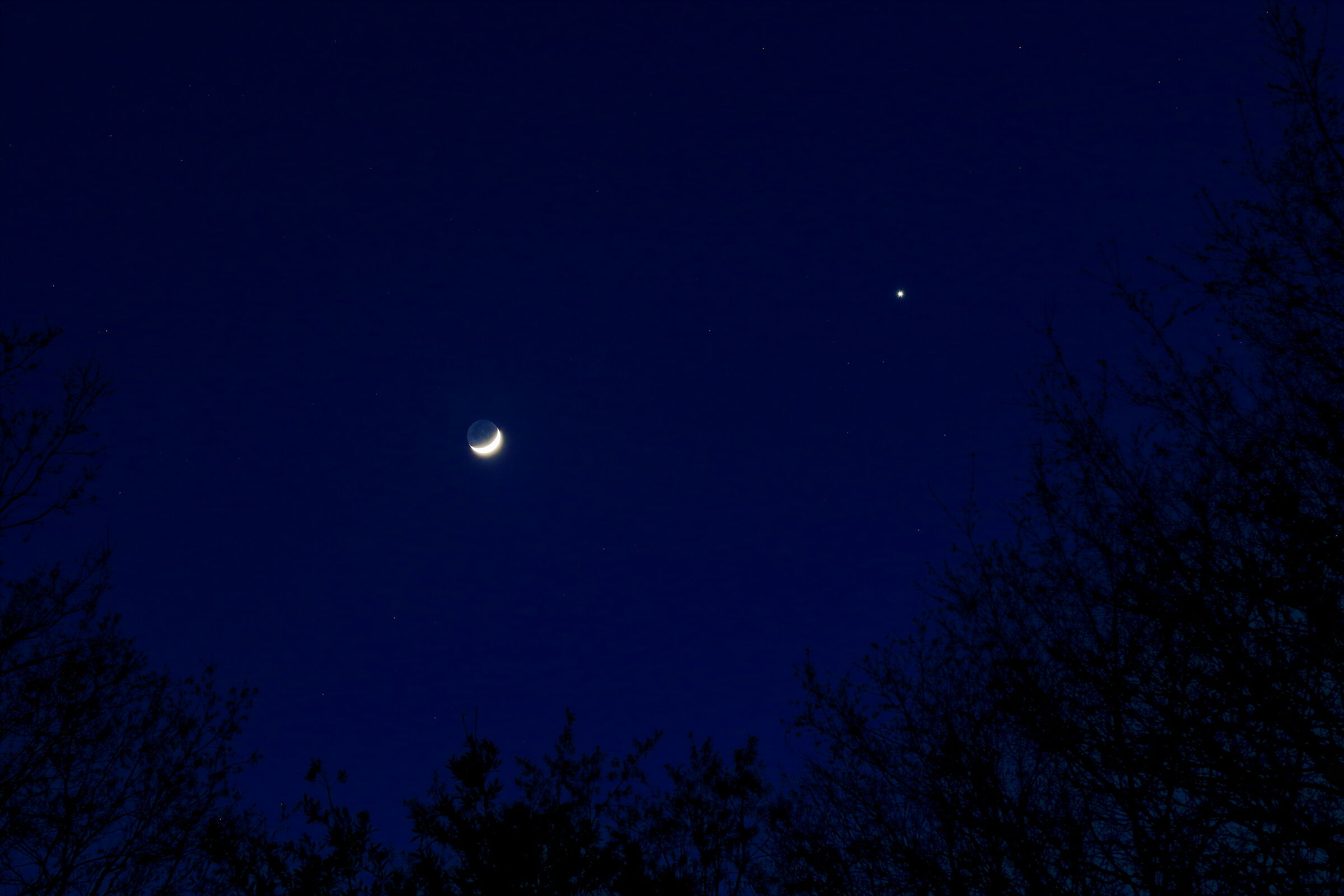 Luna e Venere insieme