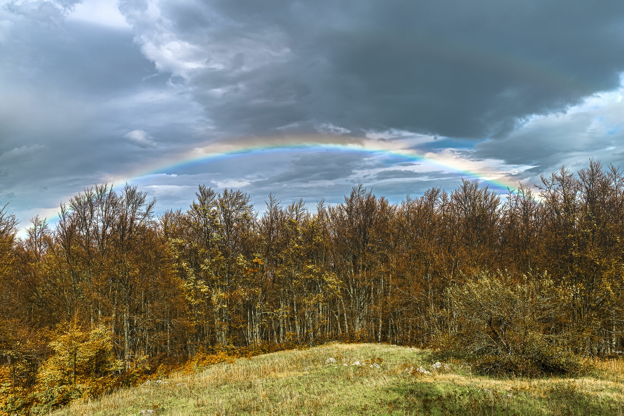 Un arcobaleno... di speranza