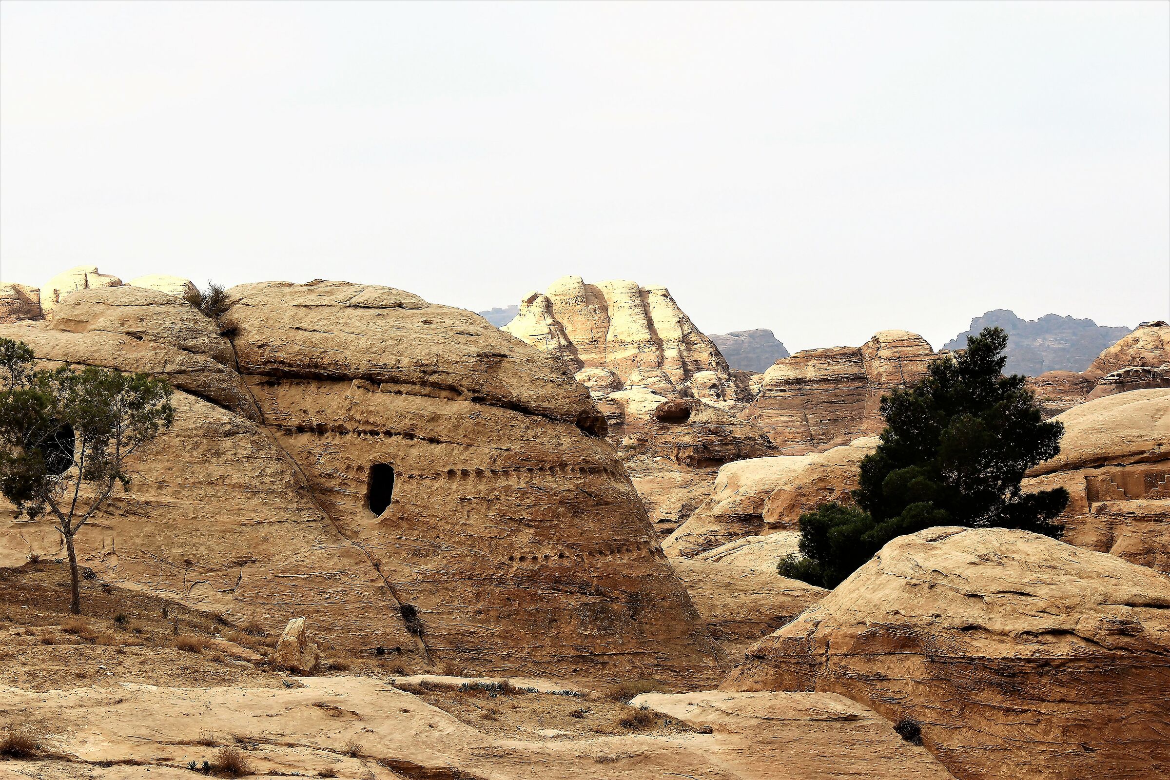 meraviglie di petra eabitanti