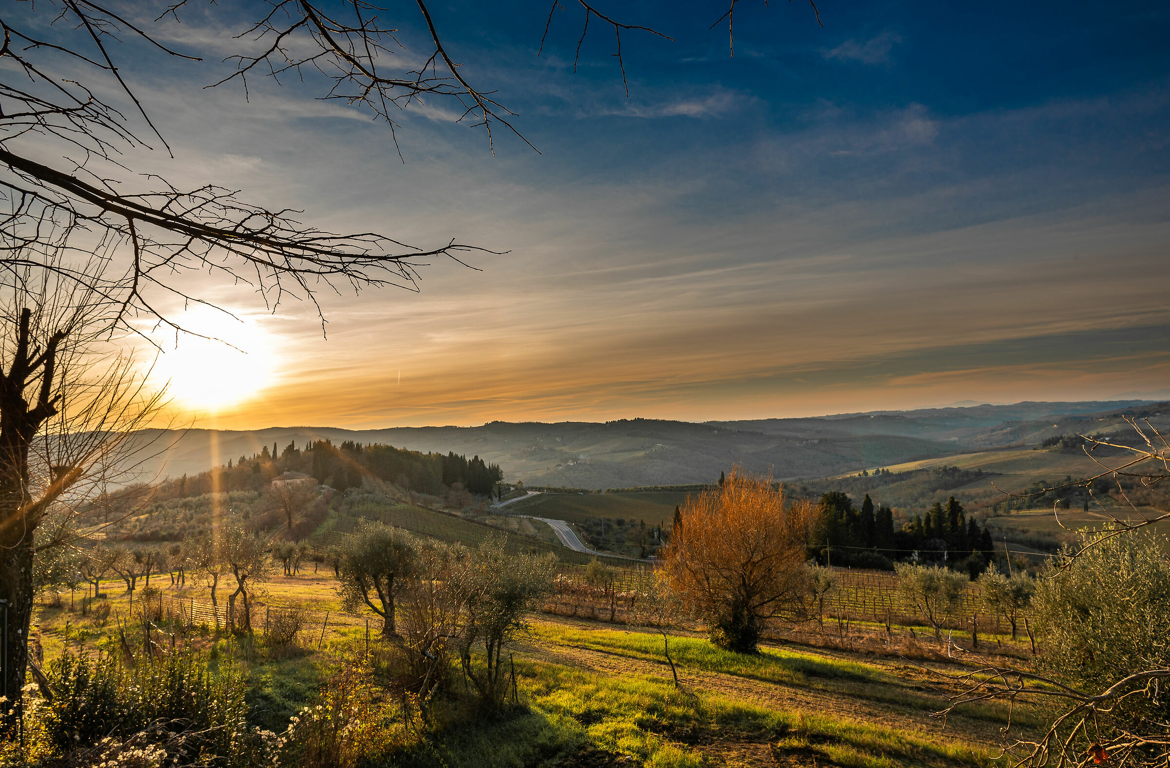 Colline del Chianti
