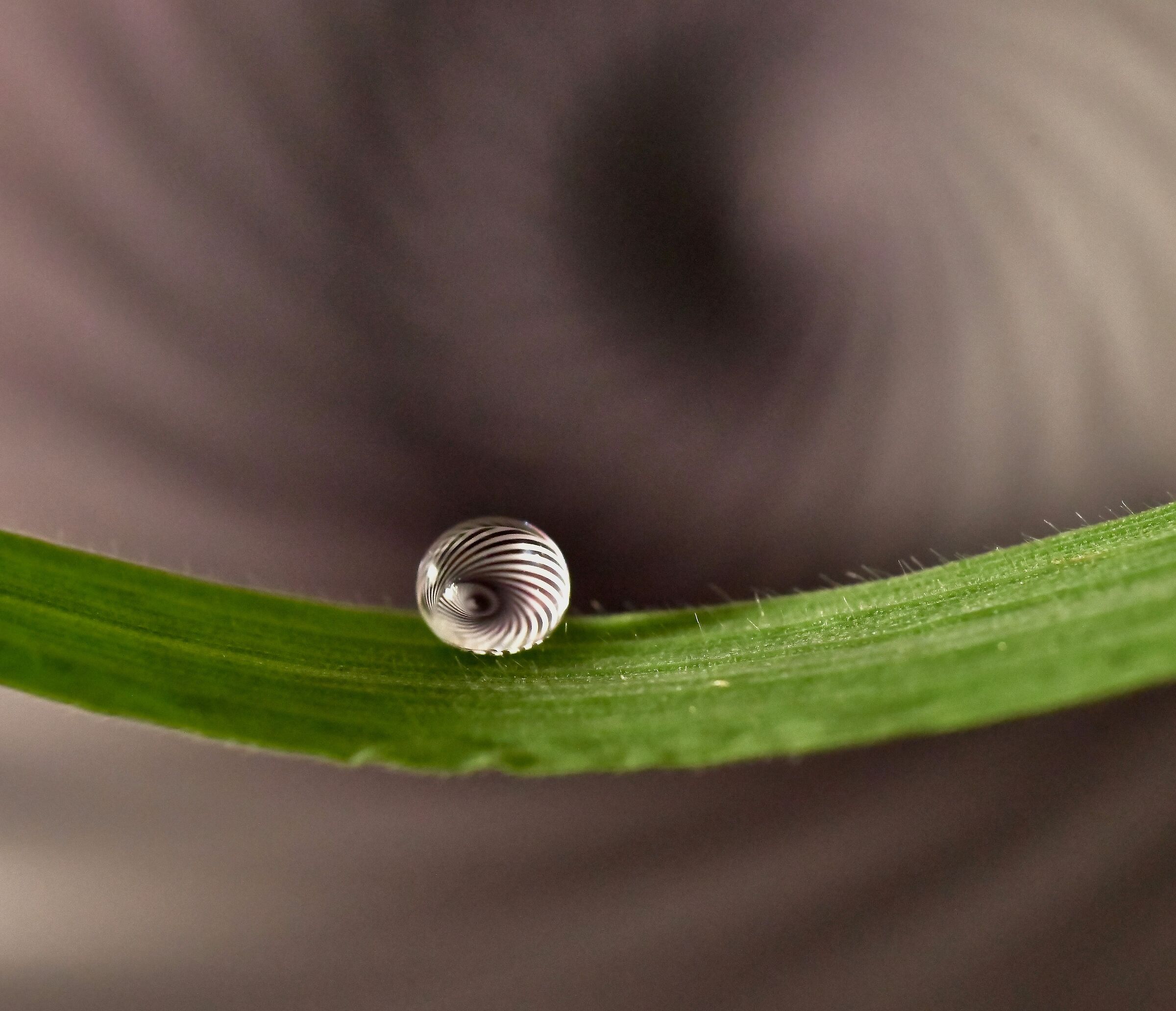 Untitled Photo