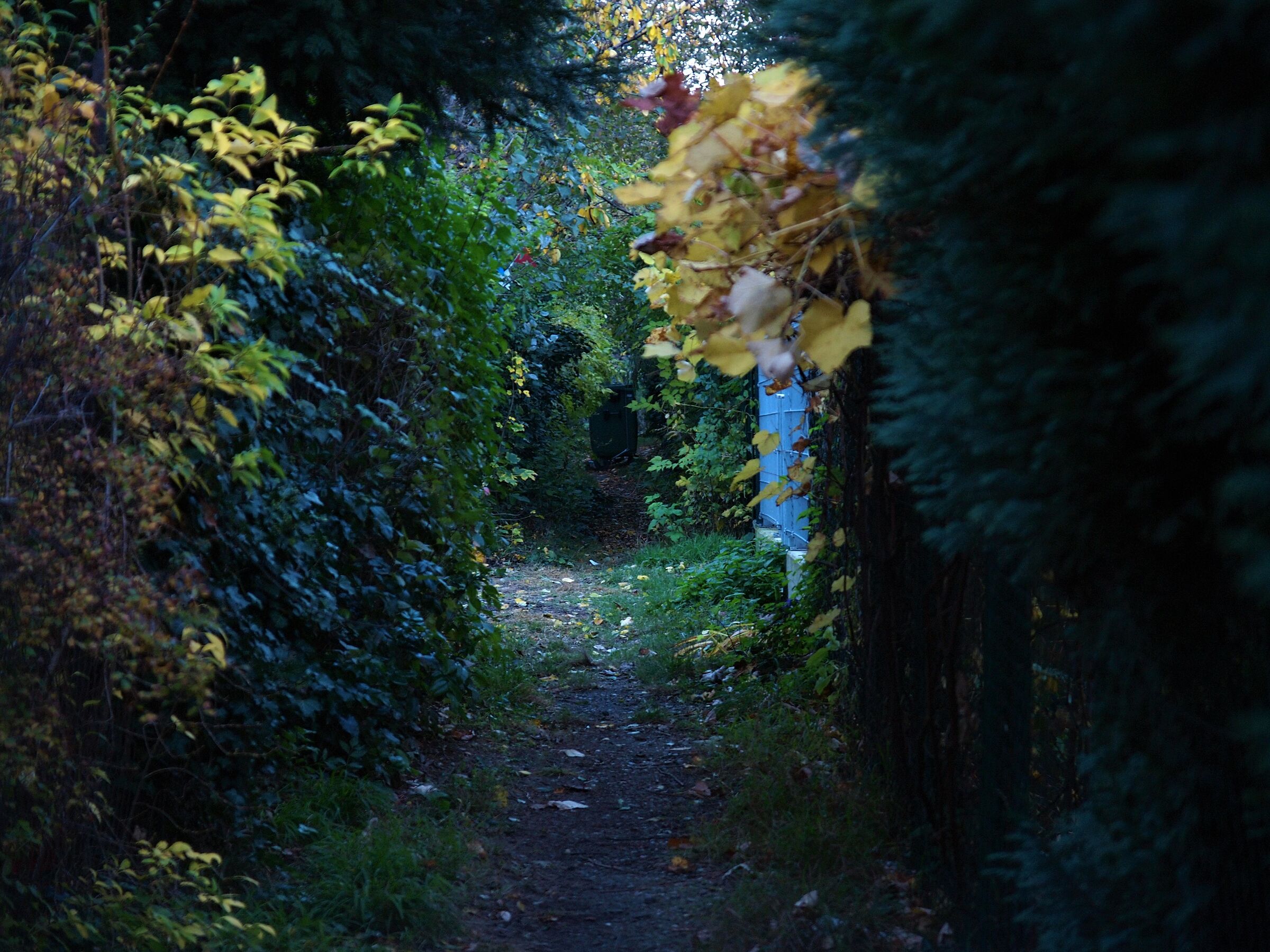 Passeggiata autunnale