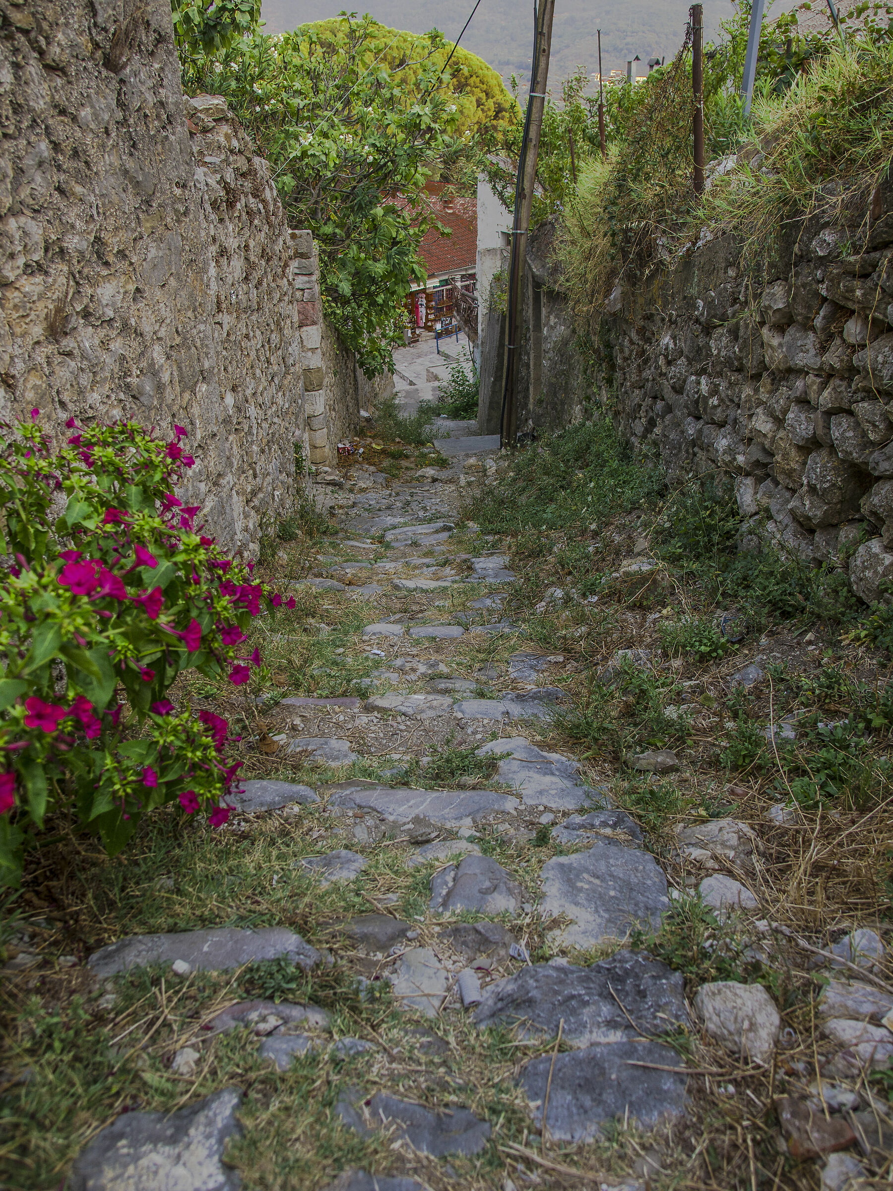 città vecchia montenegro