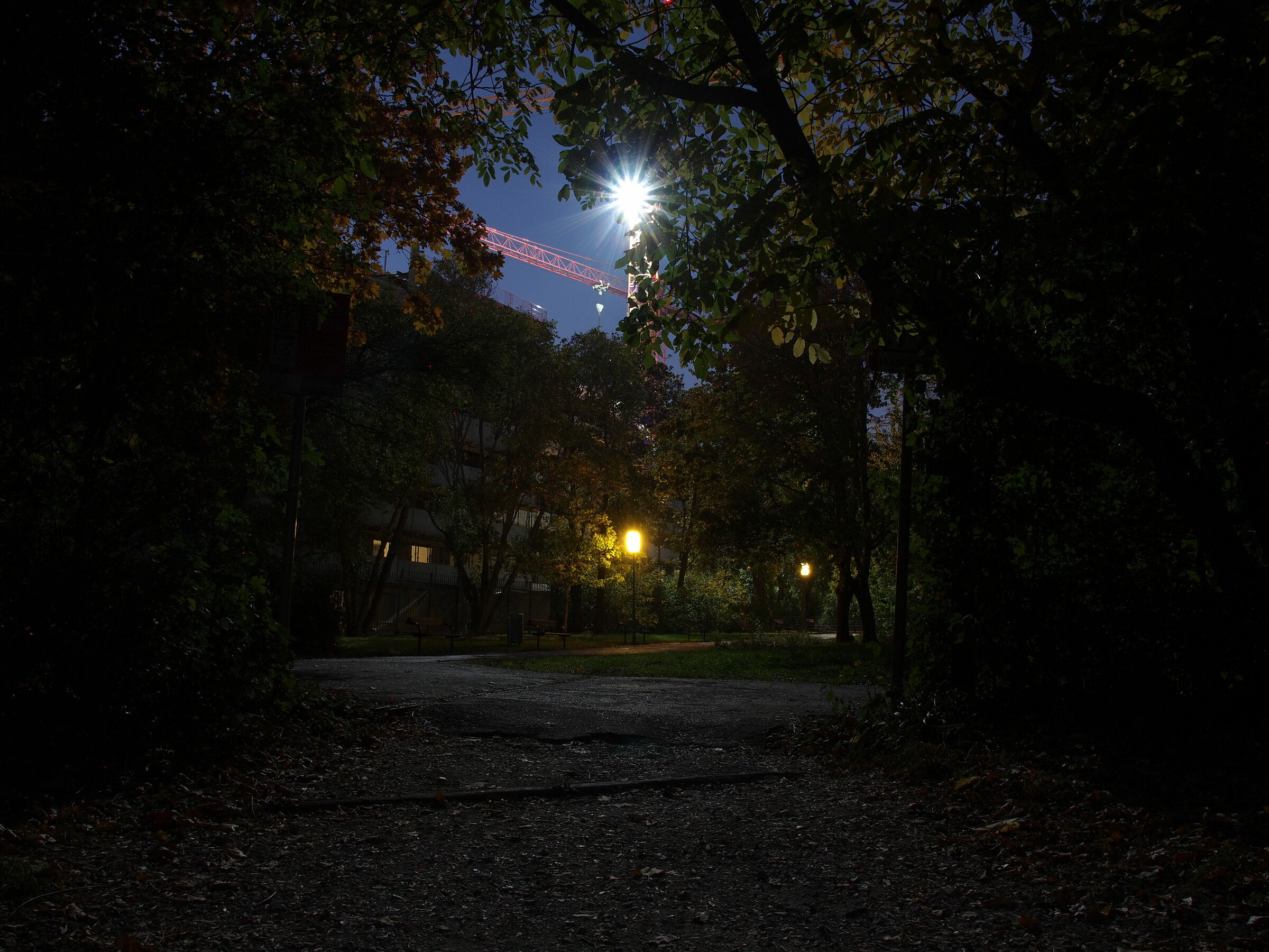 walk through the park
