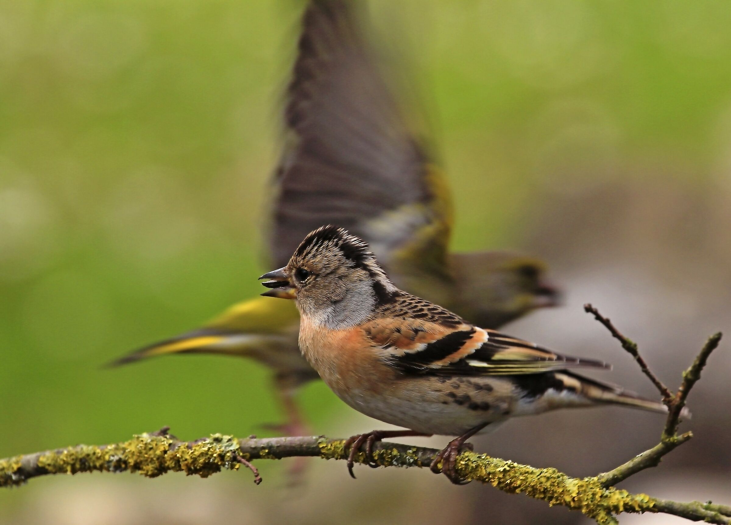 Incontri ravvicinati...
