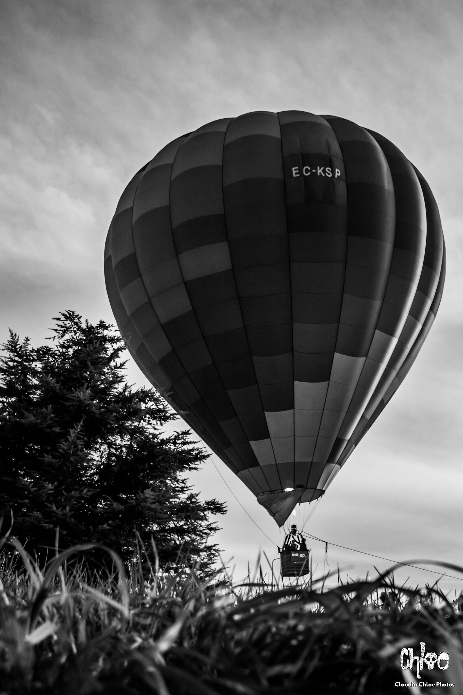 Hot Air Balloon (3)