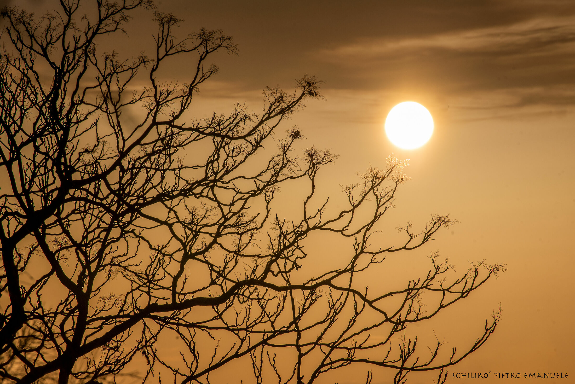 Le Ombre lasciano il posto alla luce che nasce.