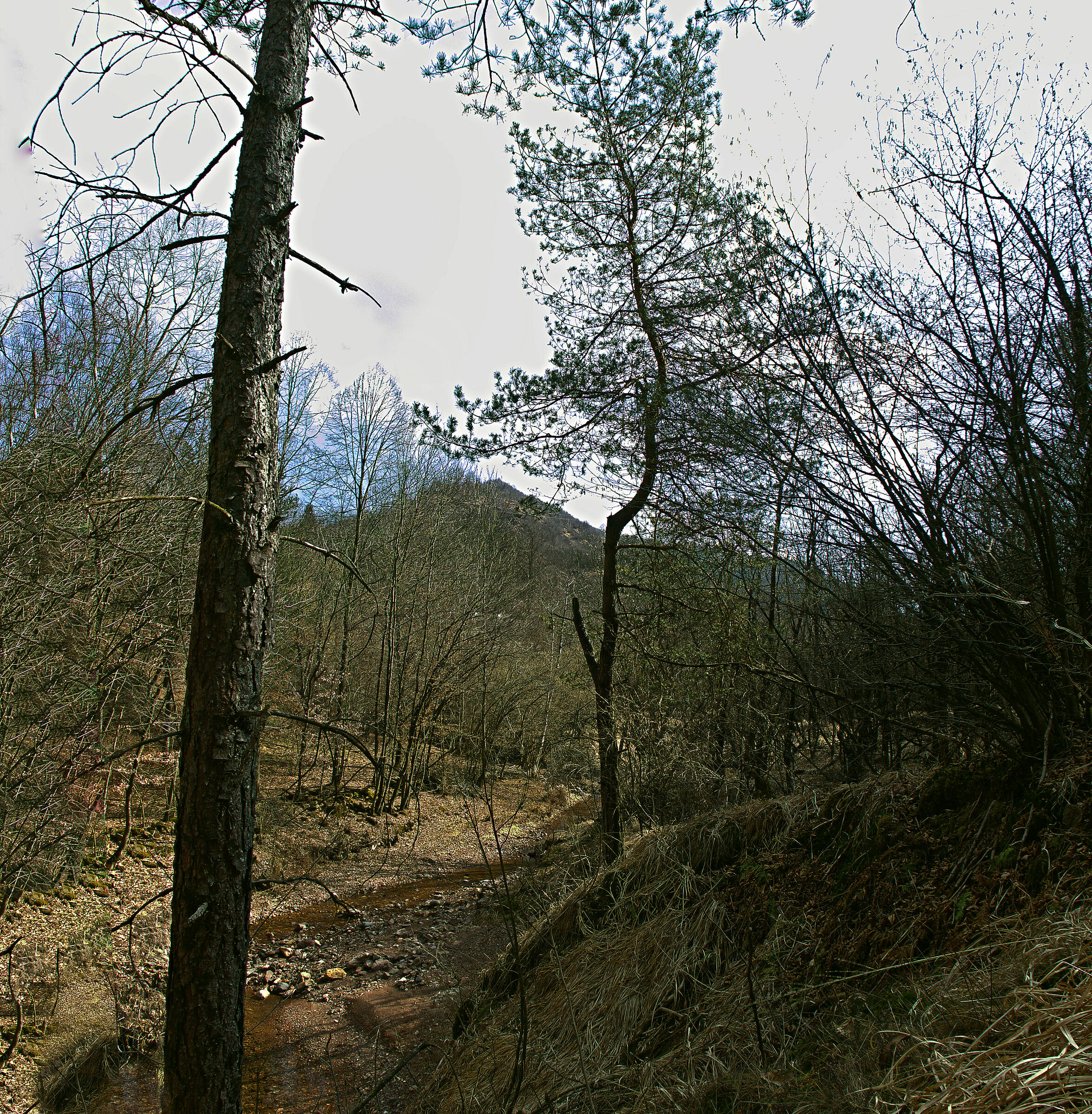 Valle Arida 2018 2020