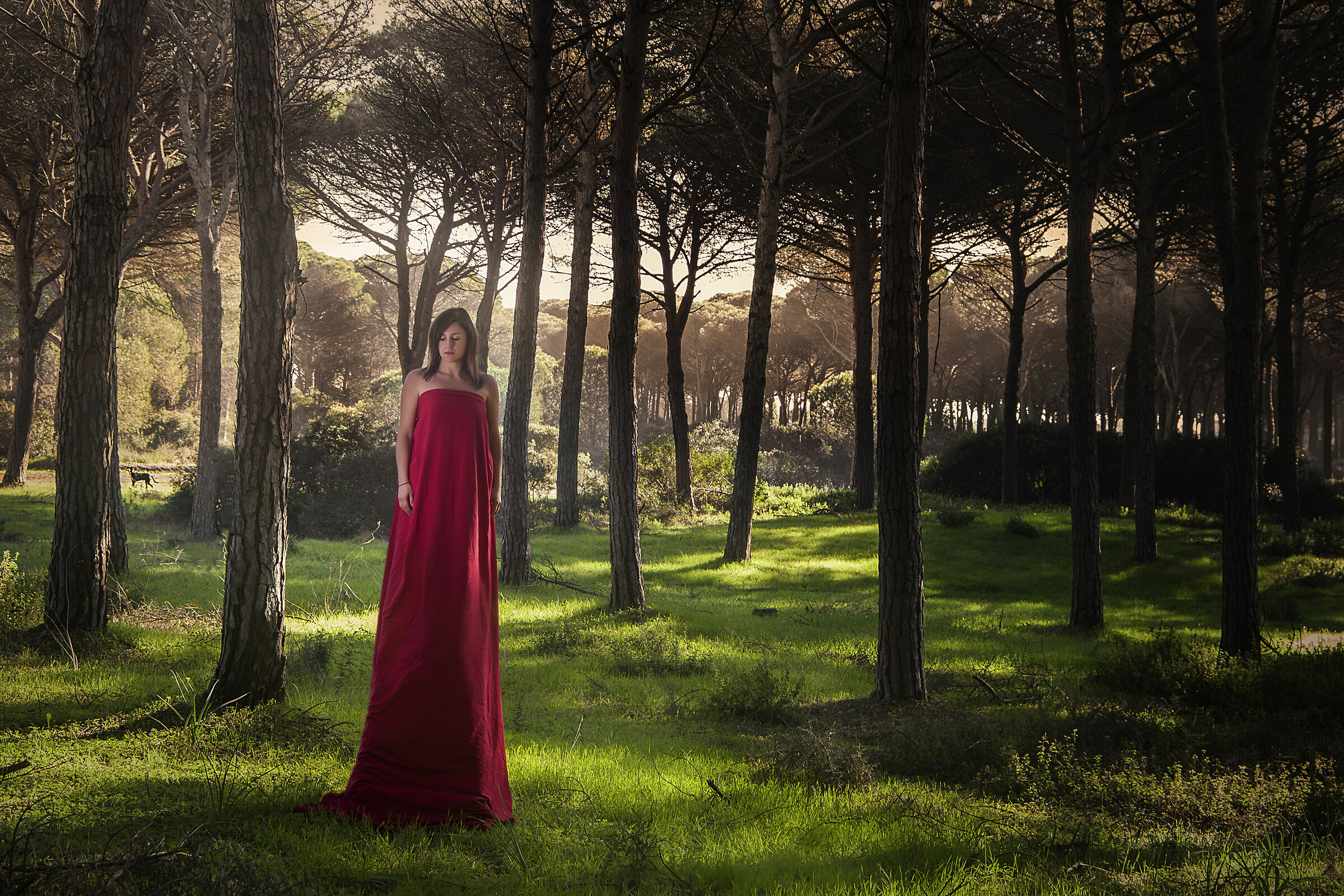 The loneliness of prime numbers