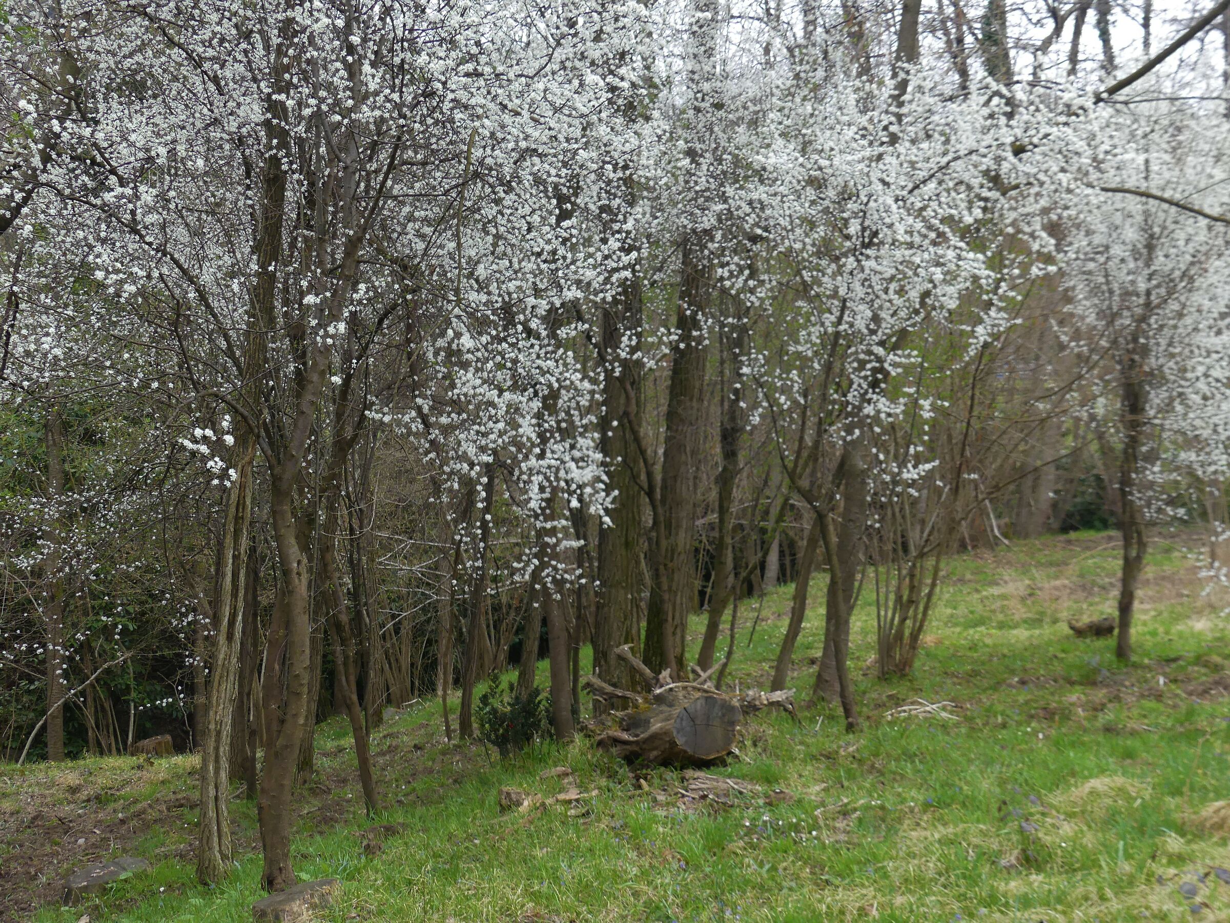 Untitled Photo
