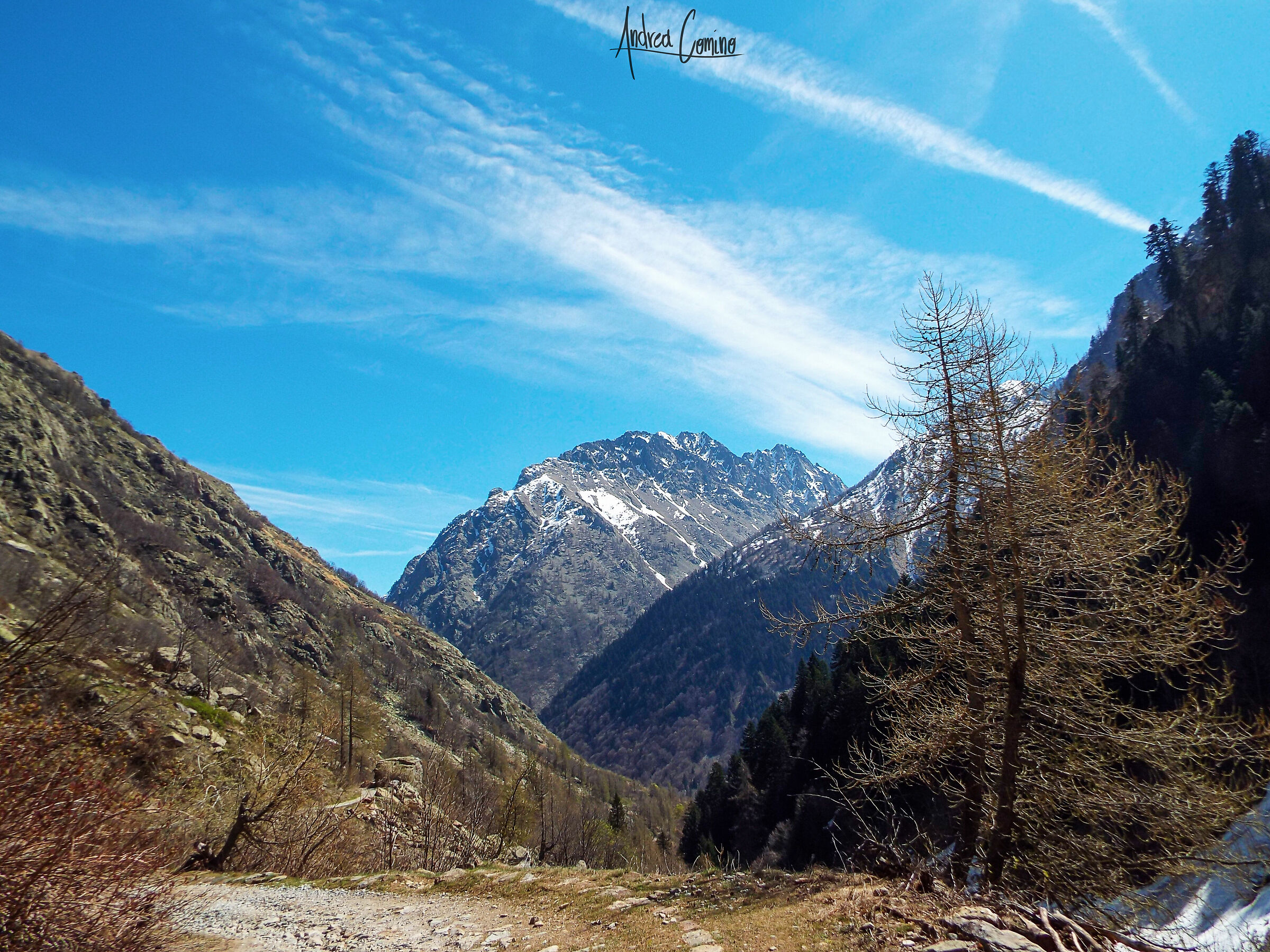 Vista su Cima Argentera