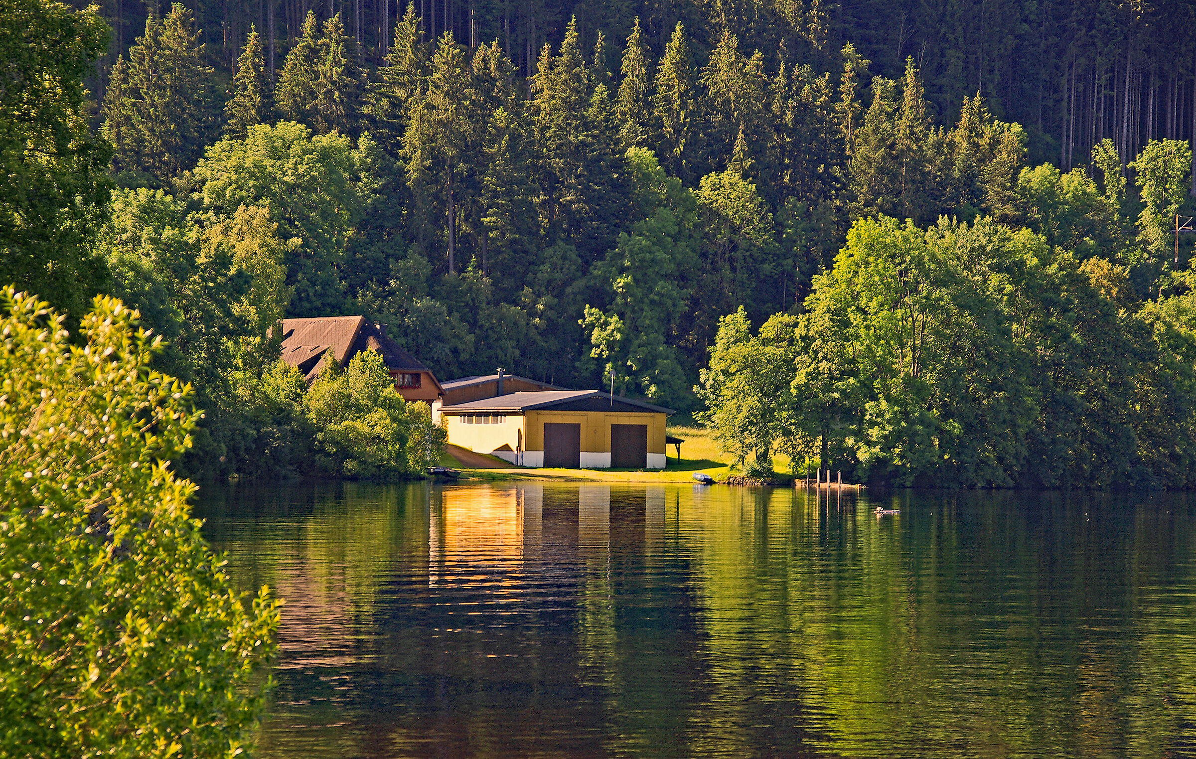 Germania: Lago Titisee