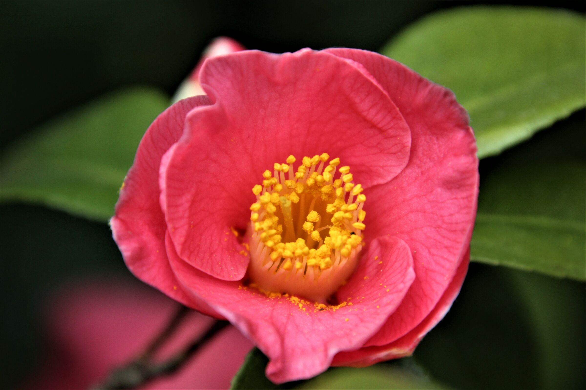 Untitled Photo