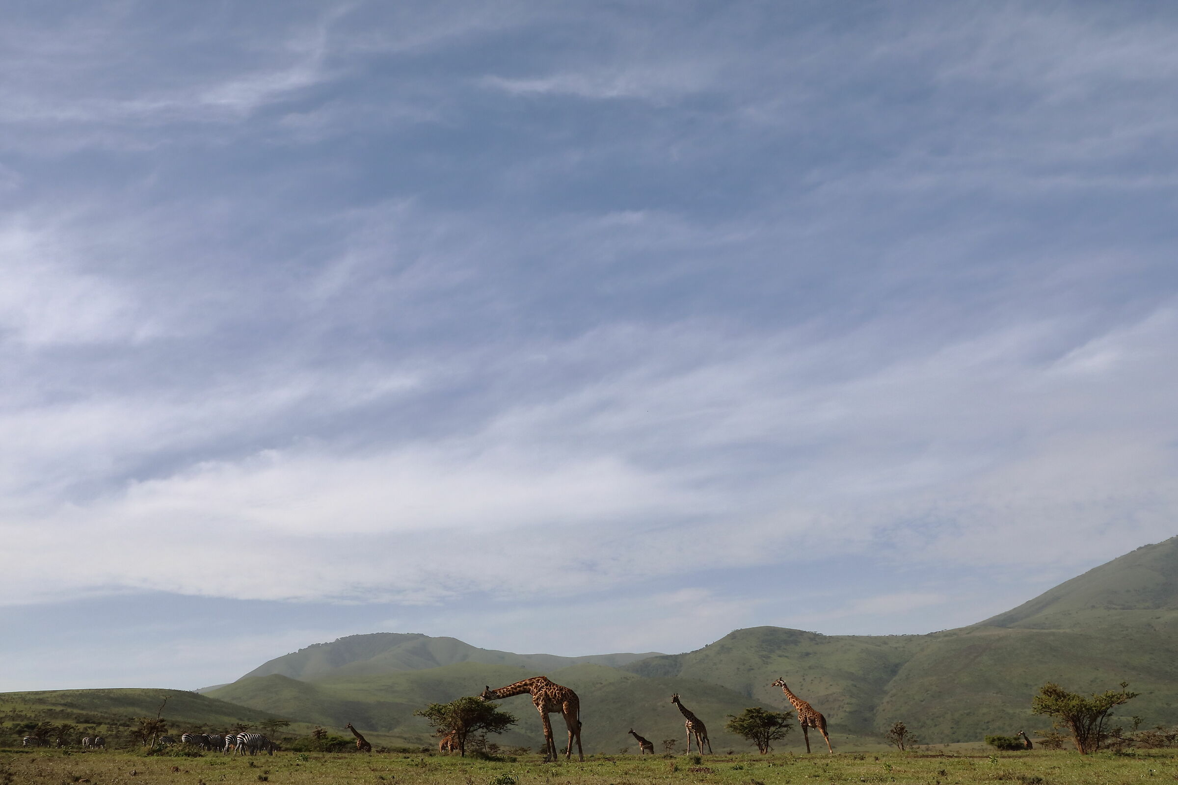 Panorama Africano