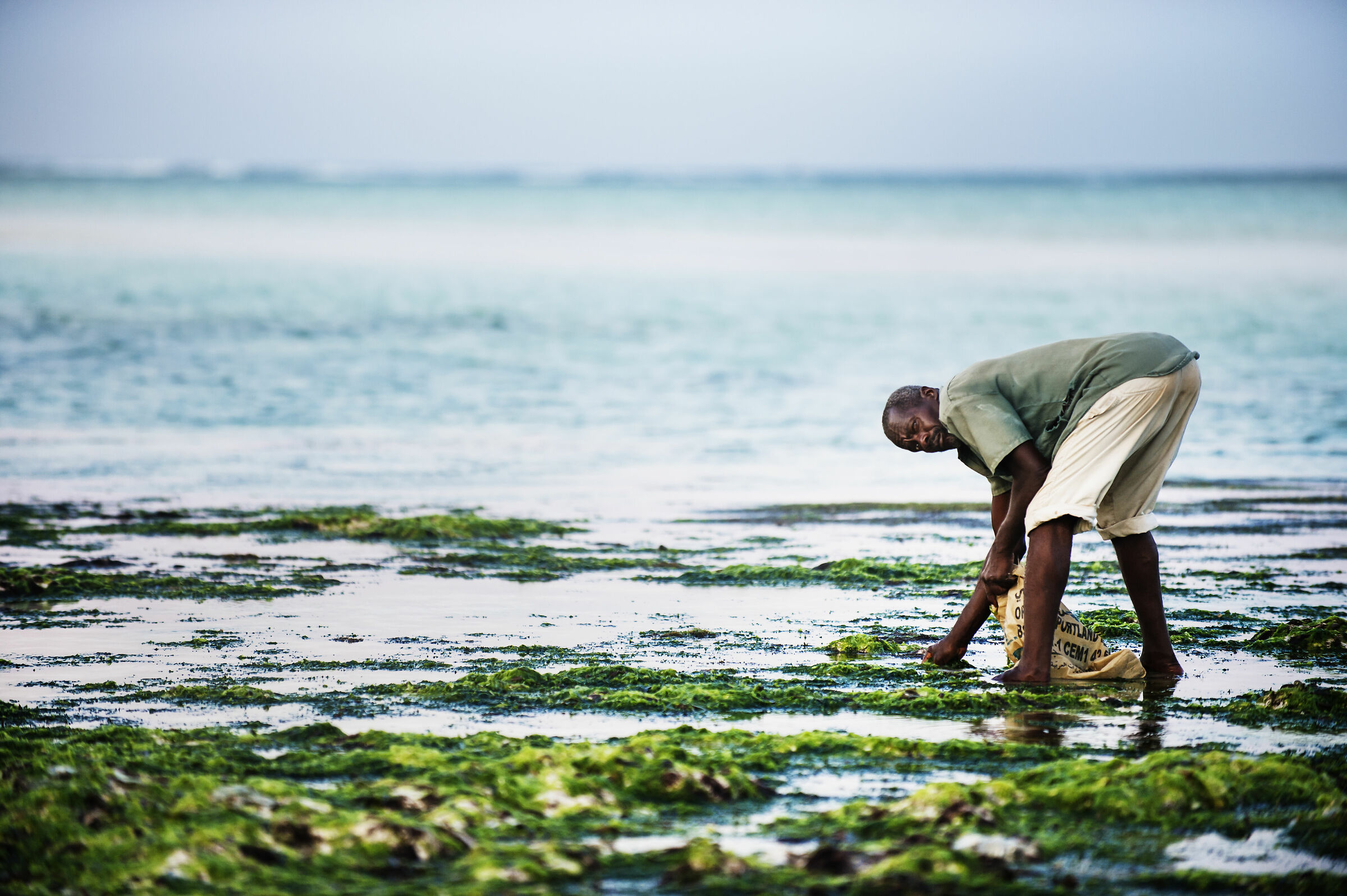Faces of Zanzibar