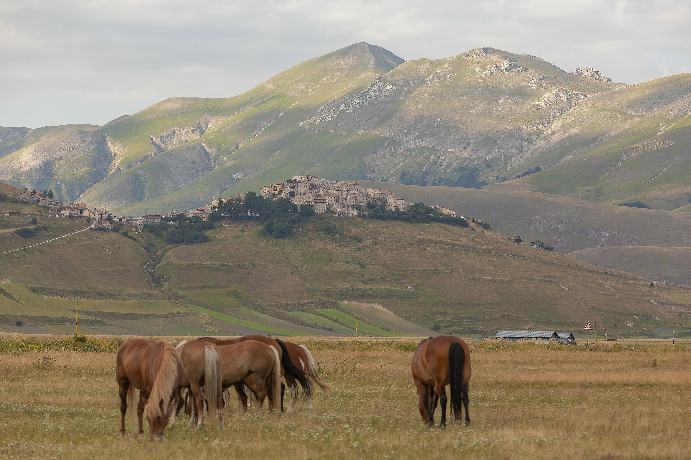 Castelluccio