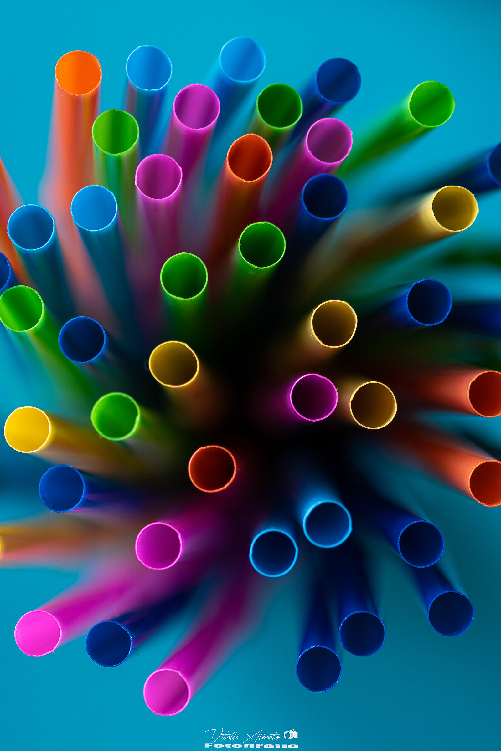 Before the extinction ?