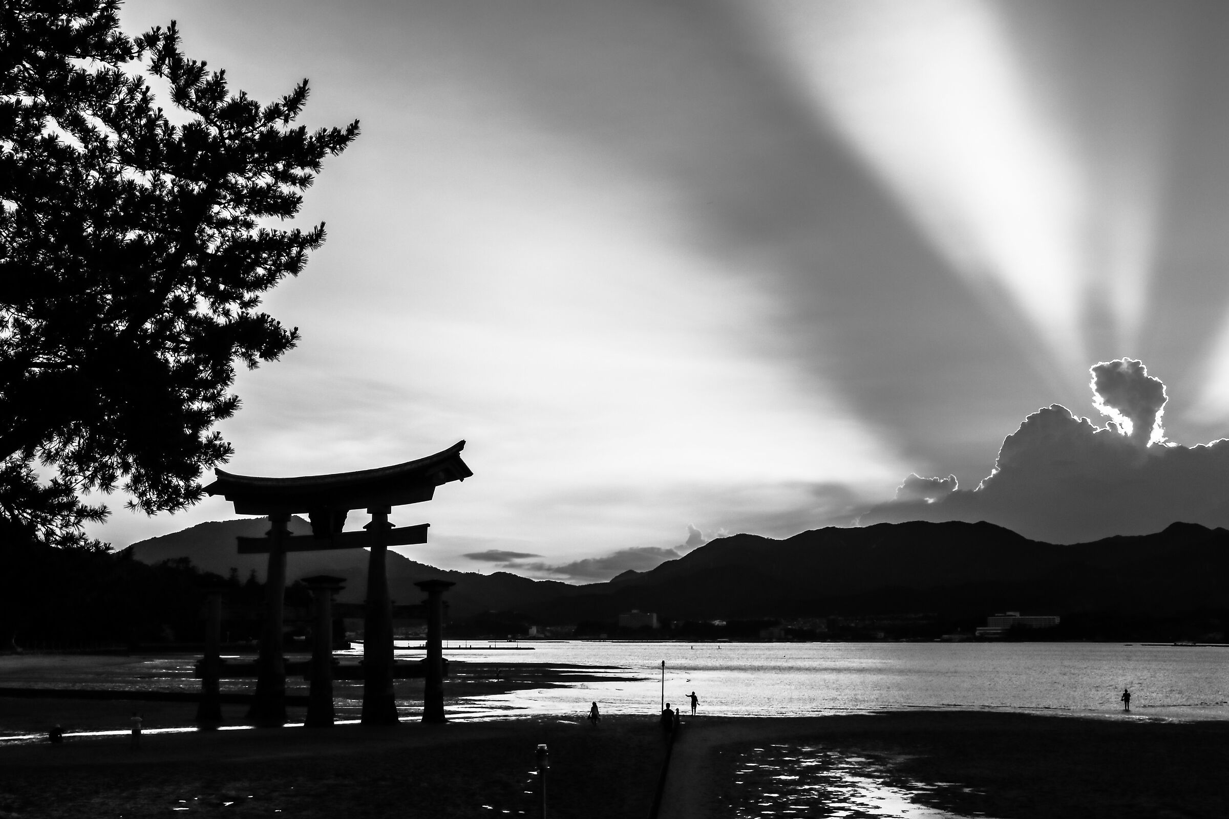 Miyajima 3