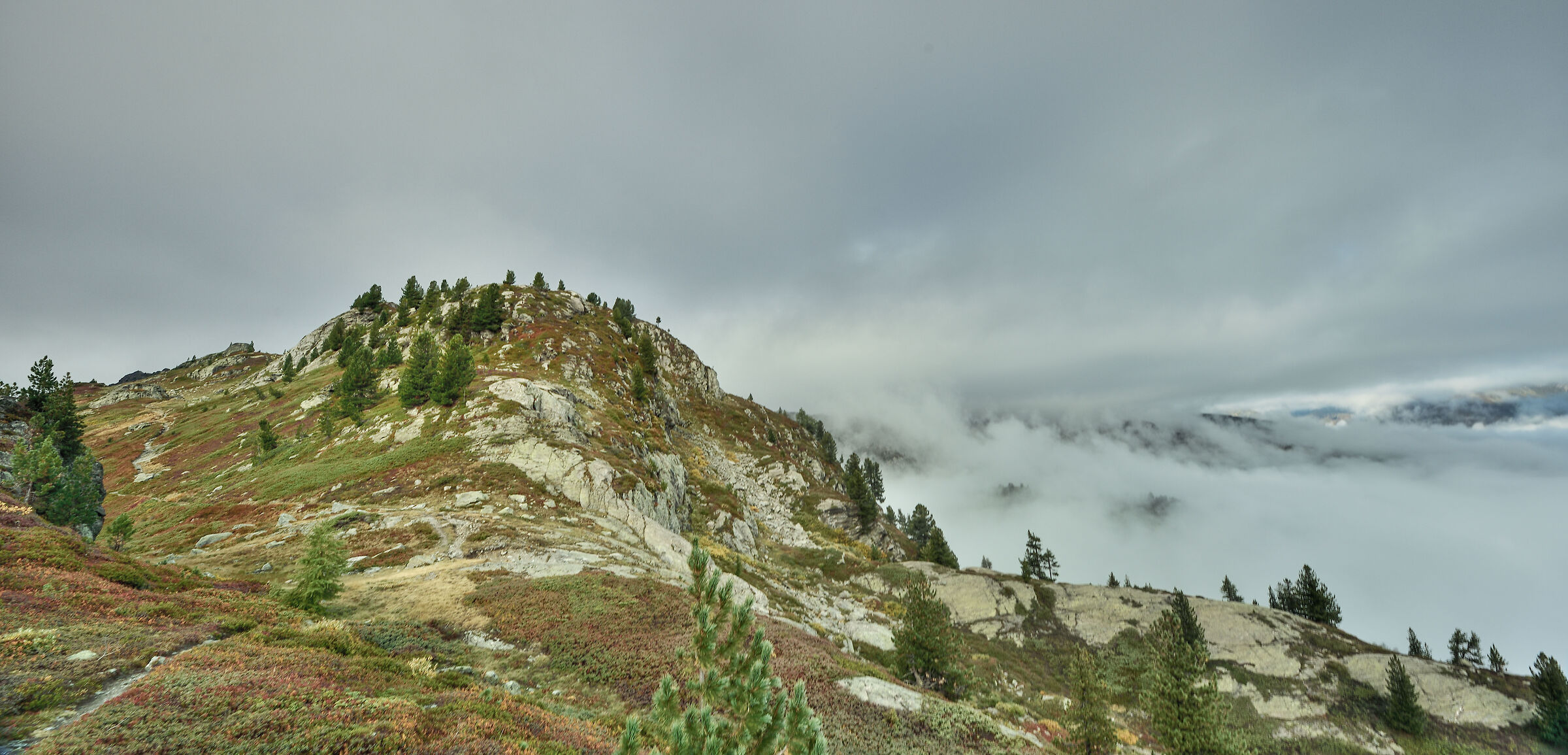 from about 2200m