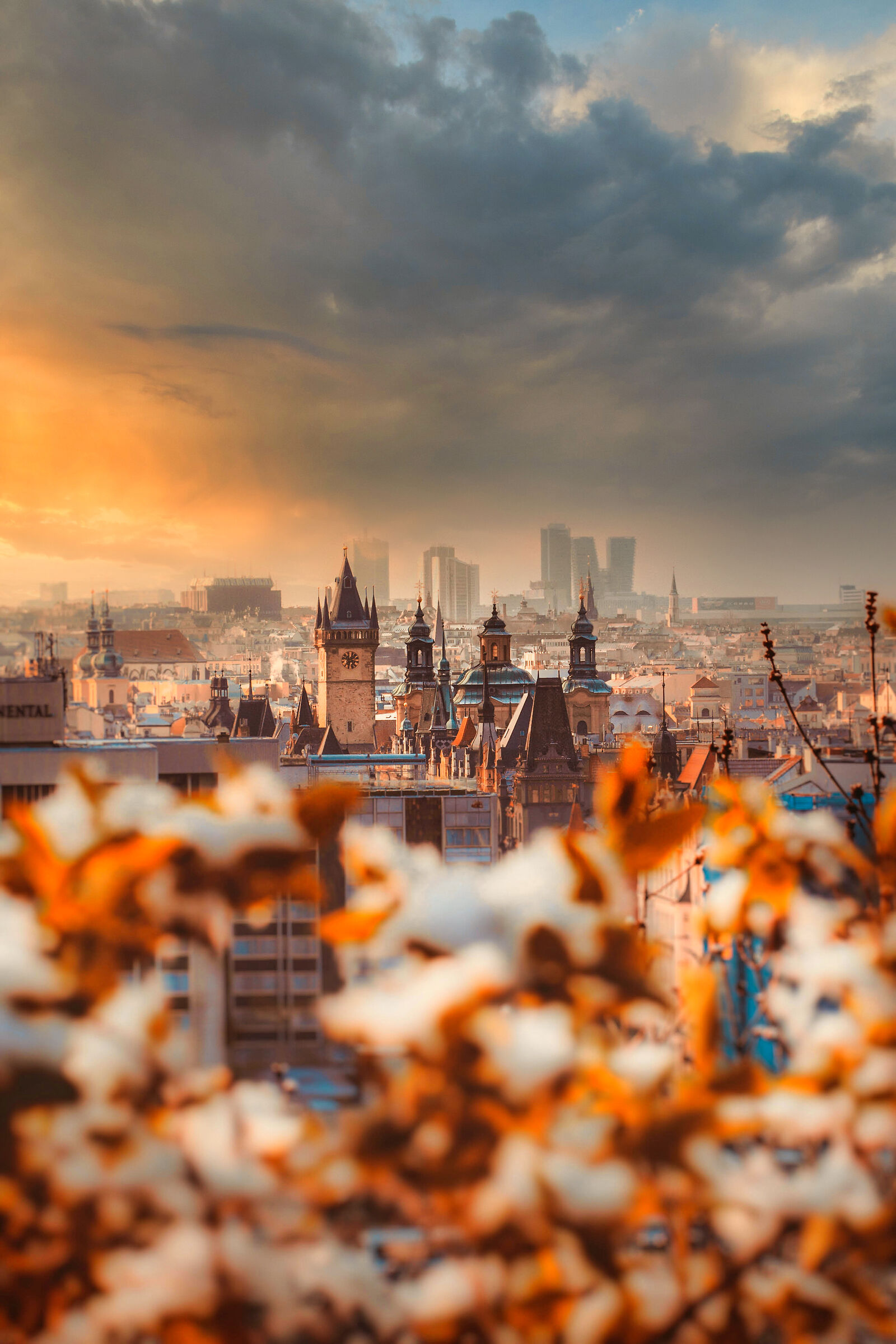 Prague on a snowy morning