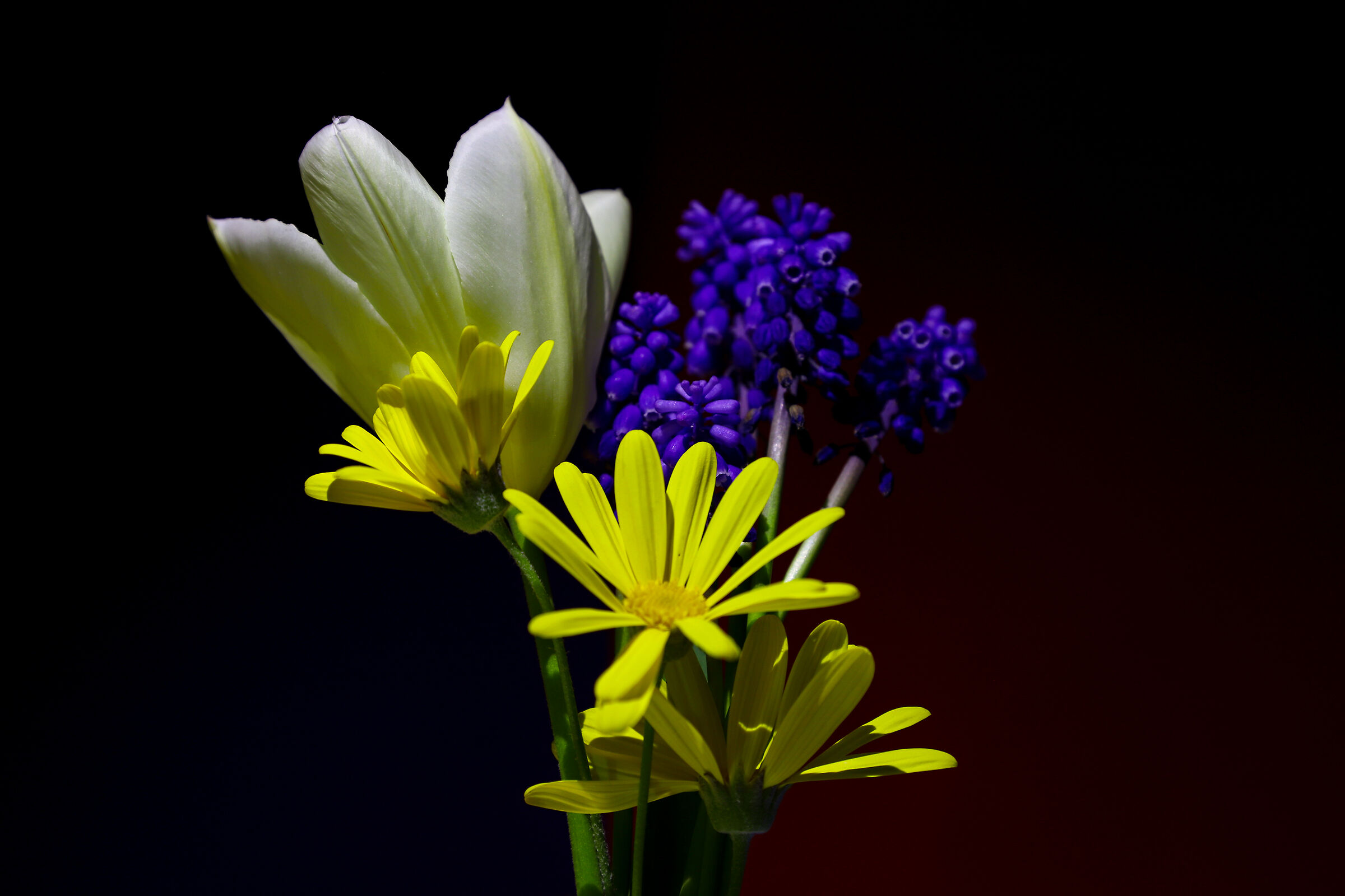 Let's bring in spring