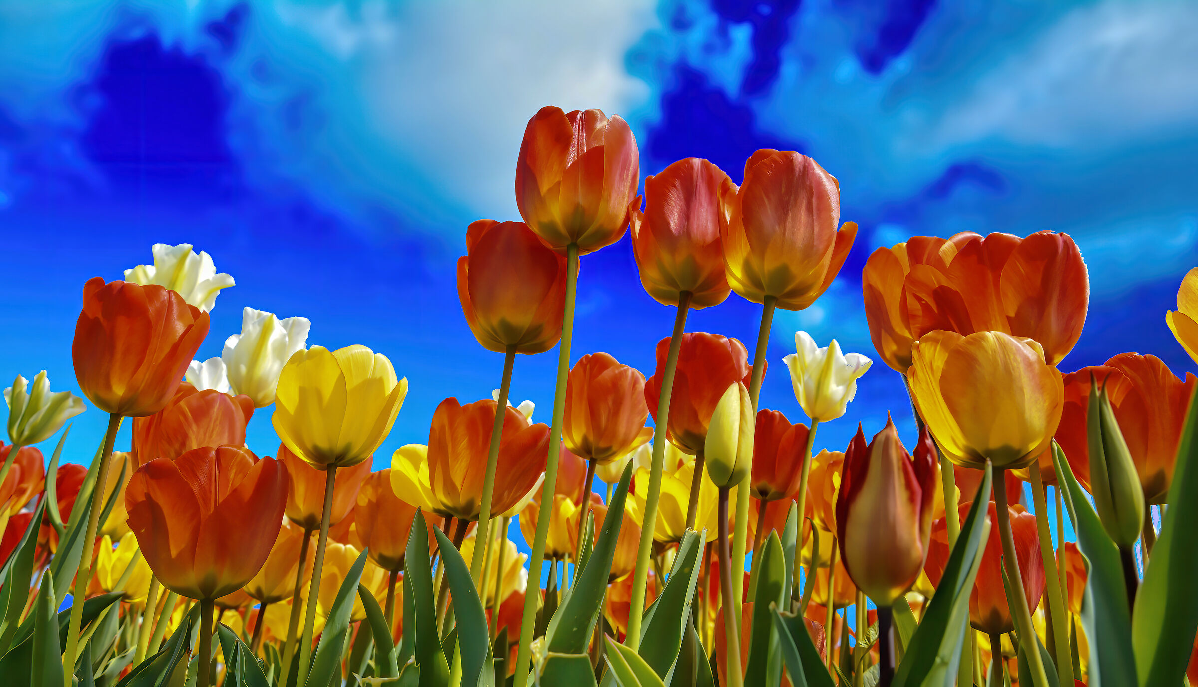 The tulli tulli tulli tulli