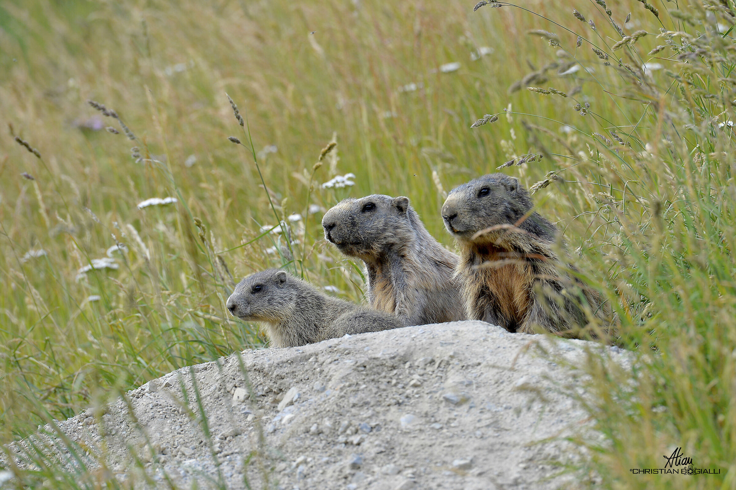 Generazioni a confronto