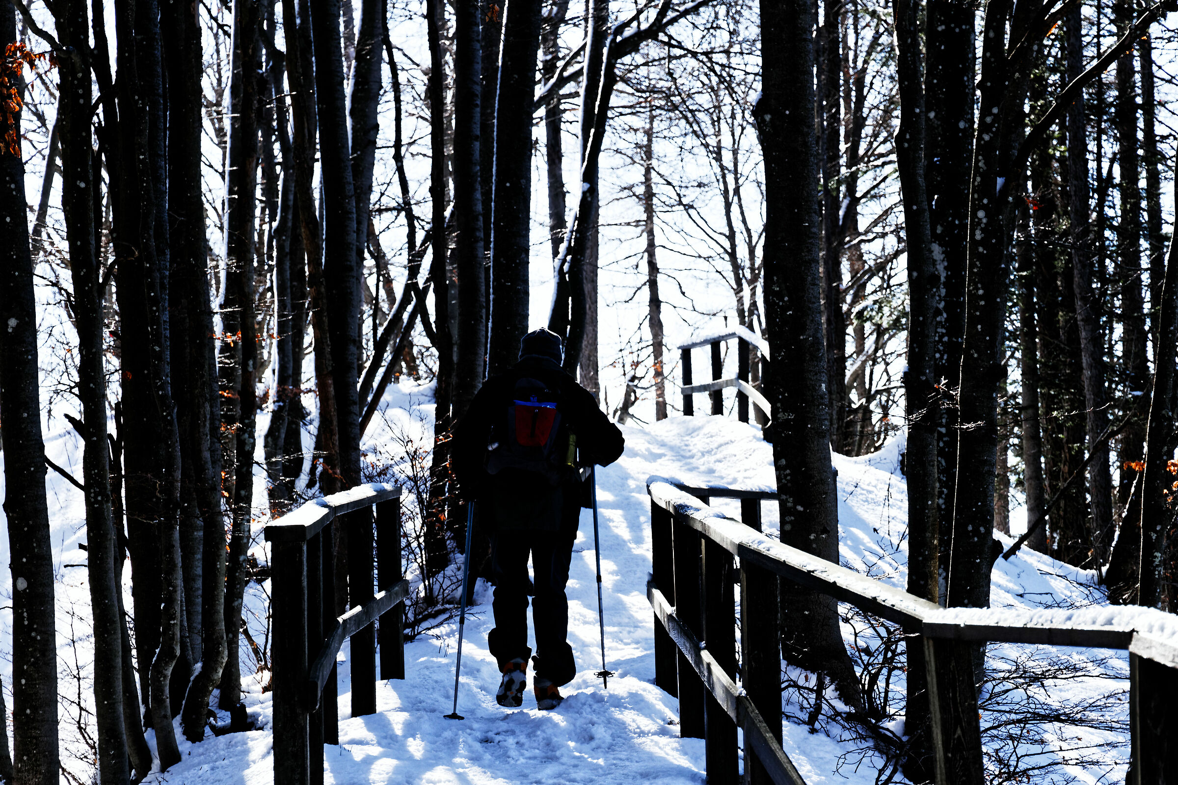 Pian dei Resinelli sentiero del Valentino