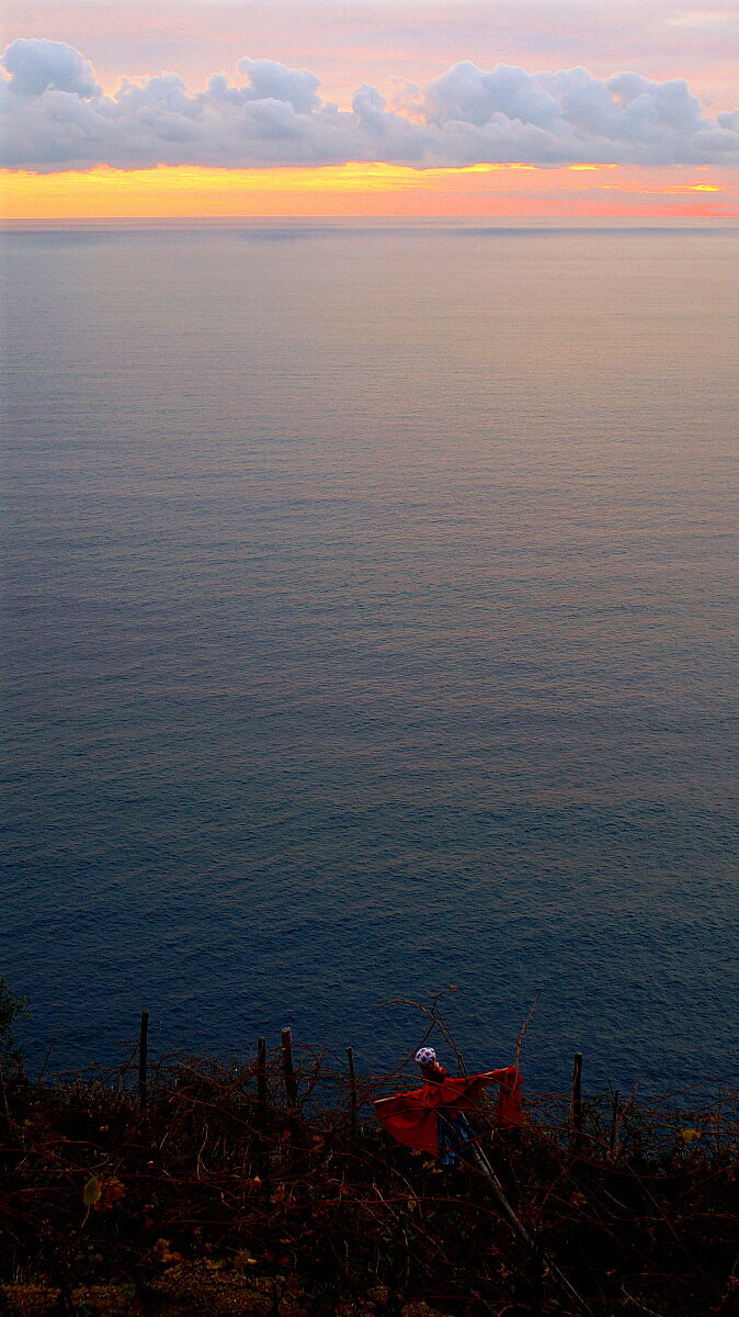 A scarecrow at sunset