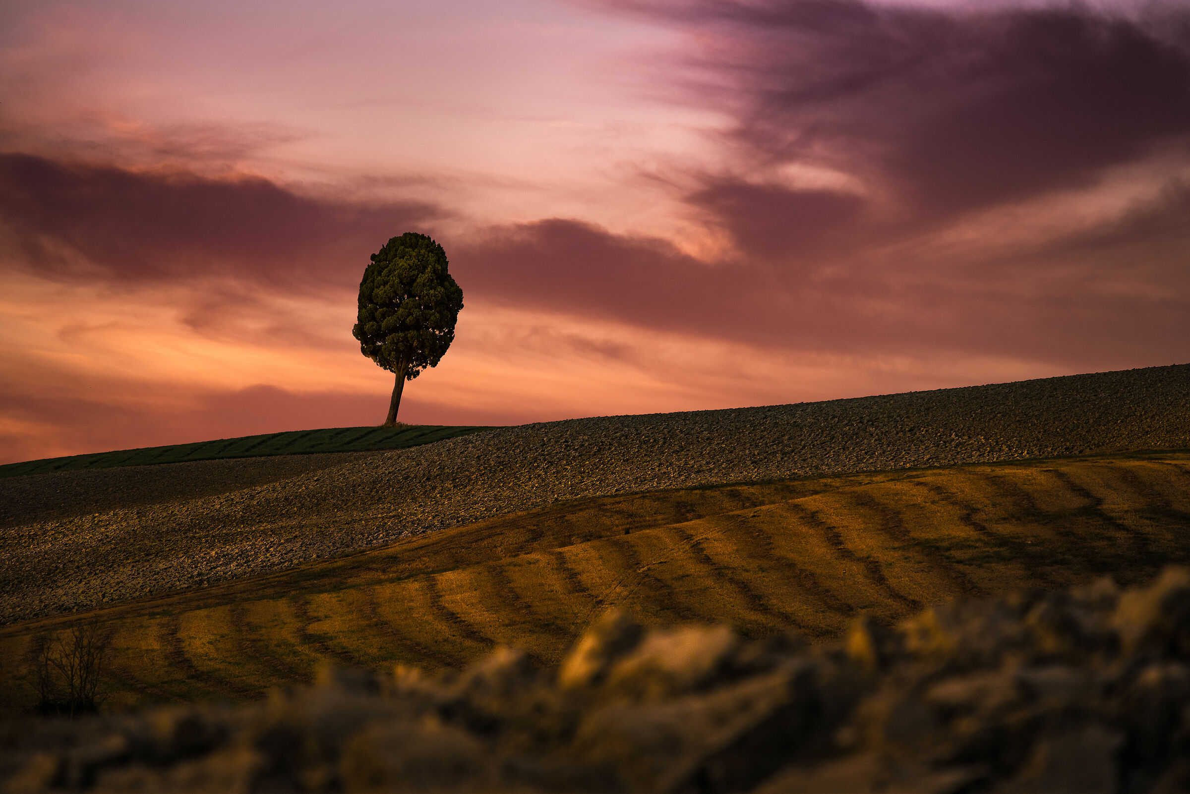 Tramonto sulle colline di Orciano Pisano