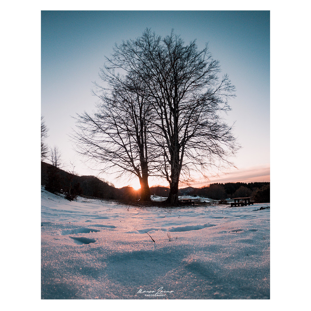 ?Pollino National Park