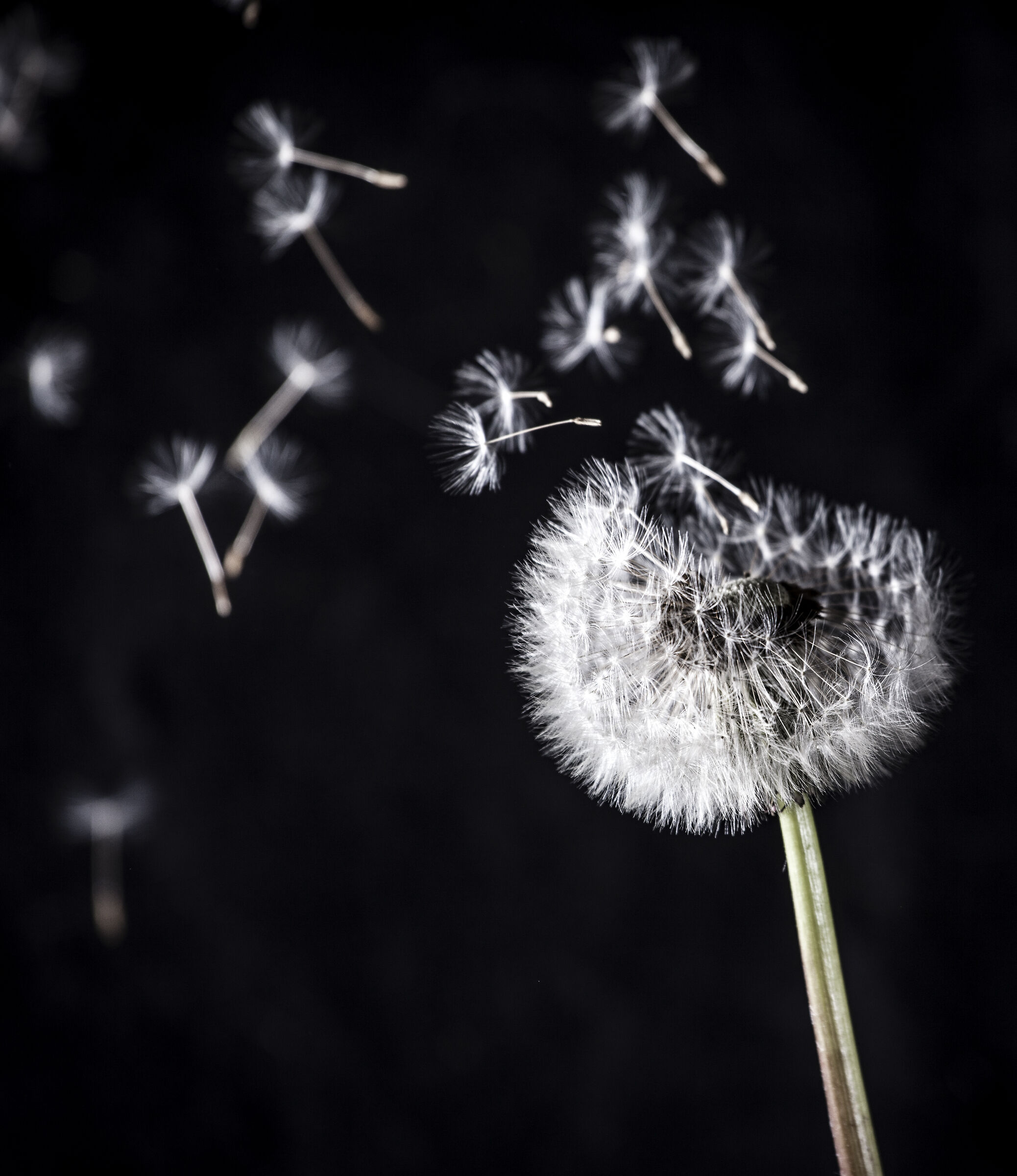 a breath of fresh air