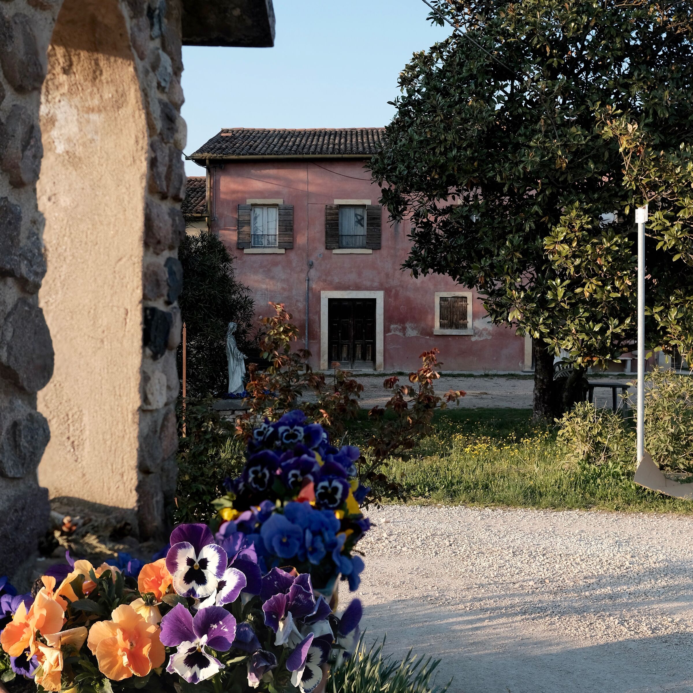 Flowers and cottage