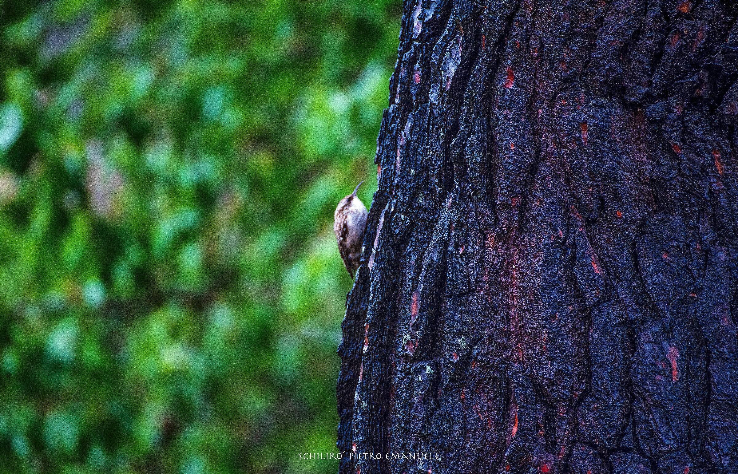 I'm in the middle...