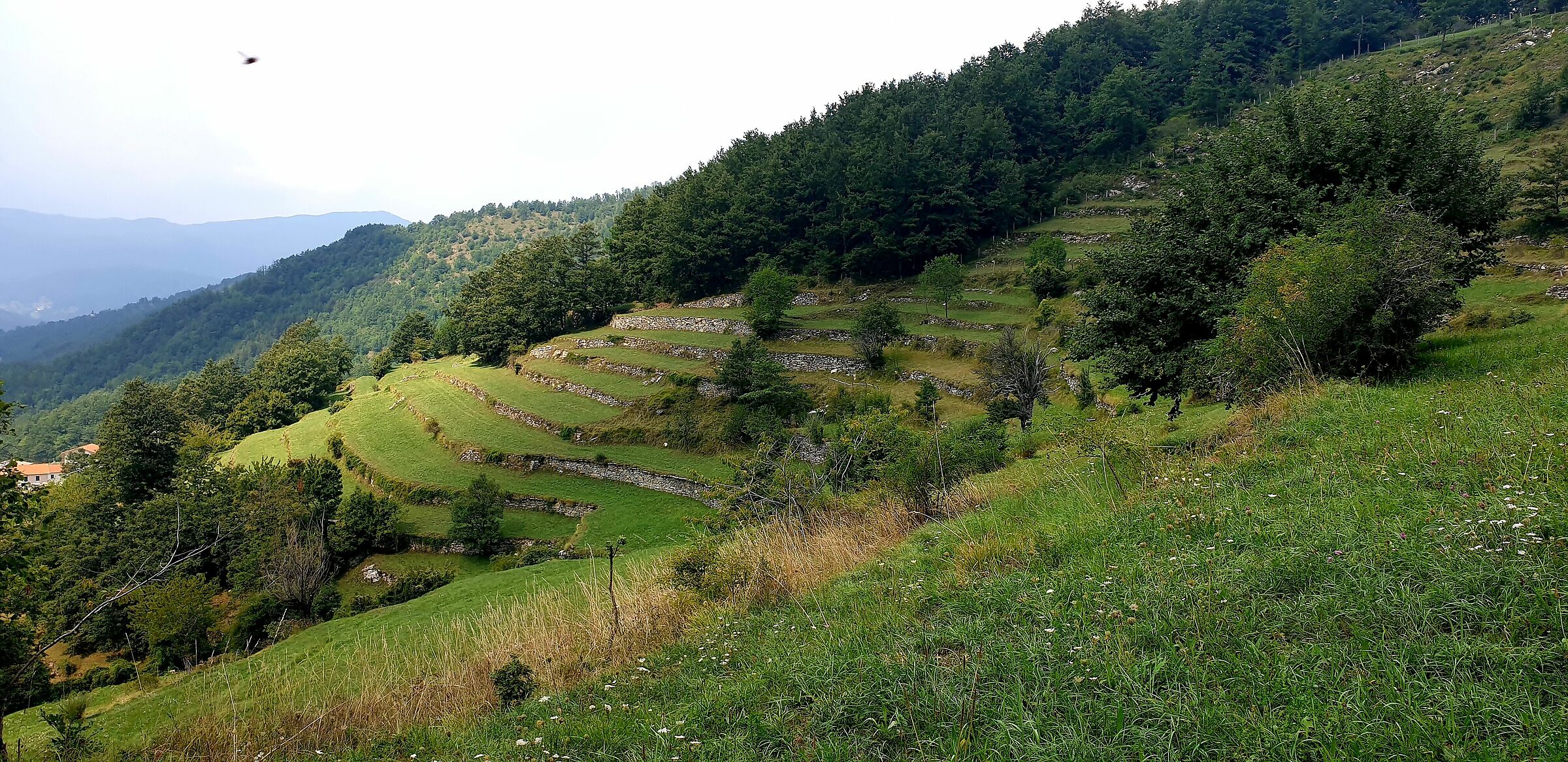 Santo stefano d'aveto